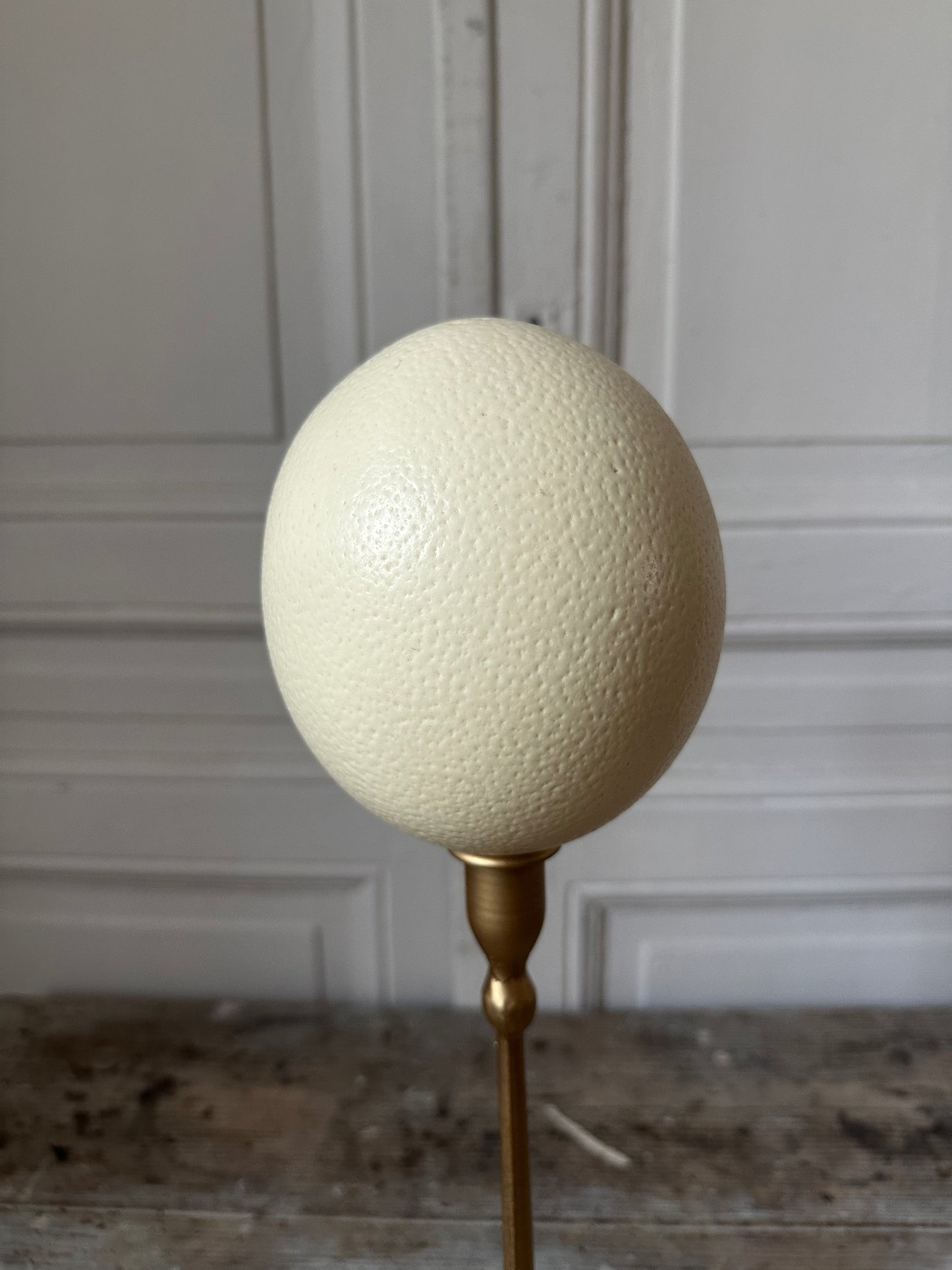 Œuf d’autruche