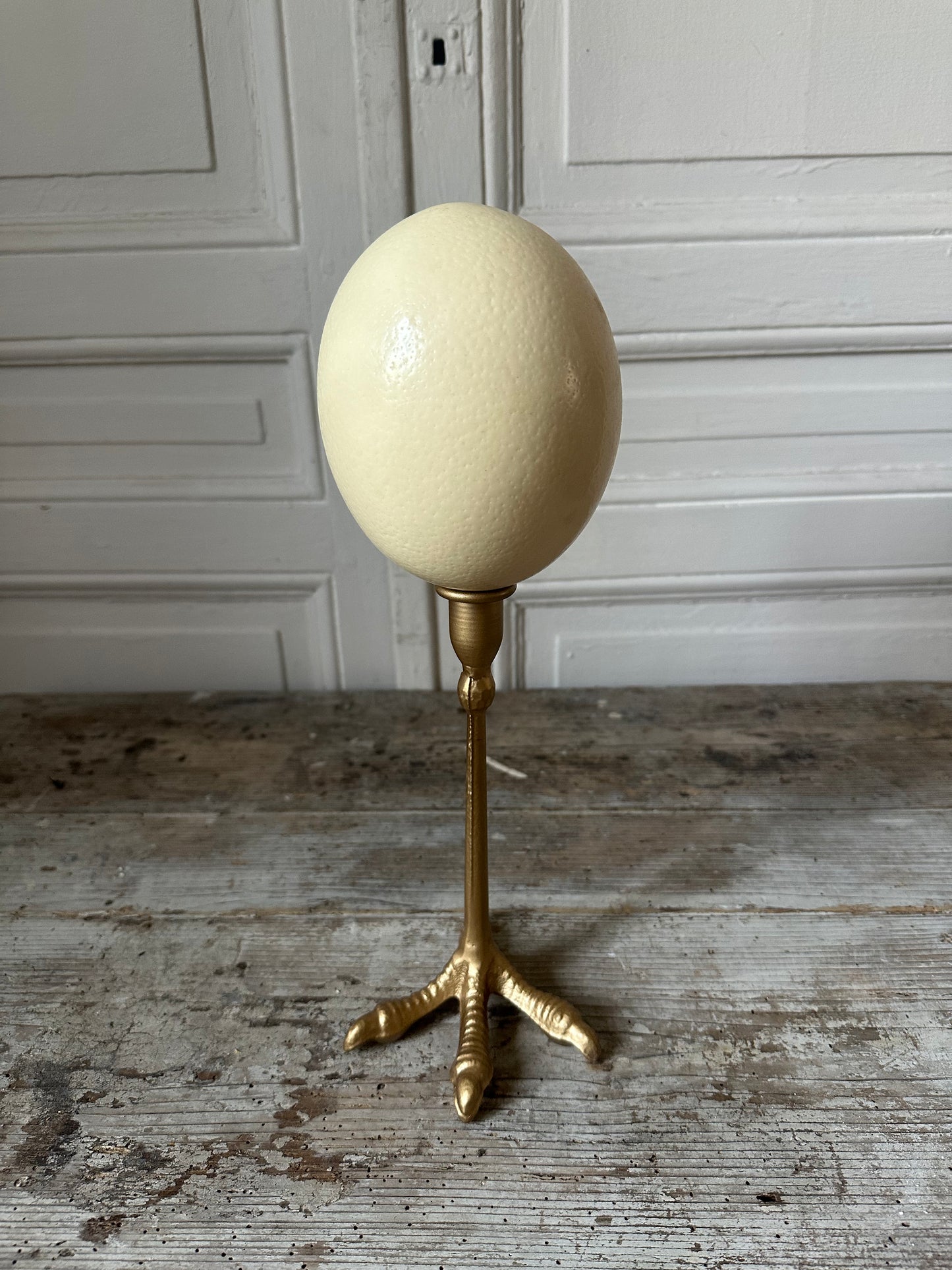 Œuf d’autruche