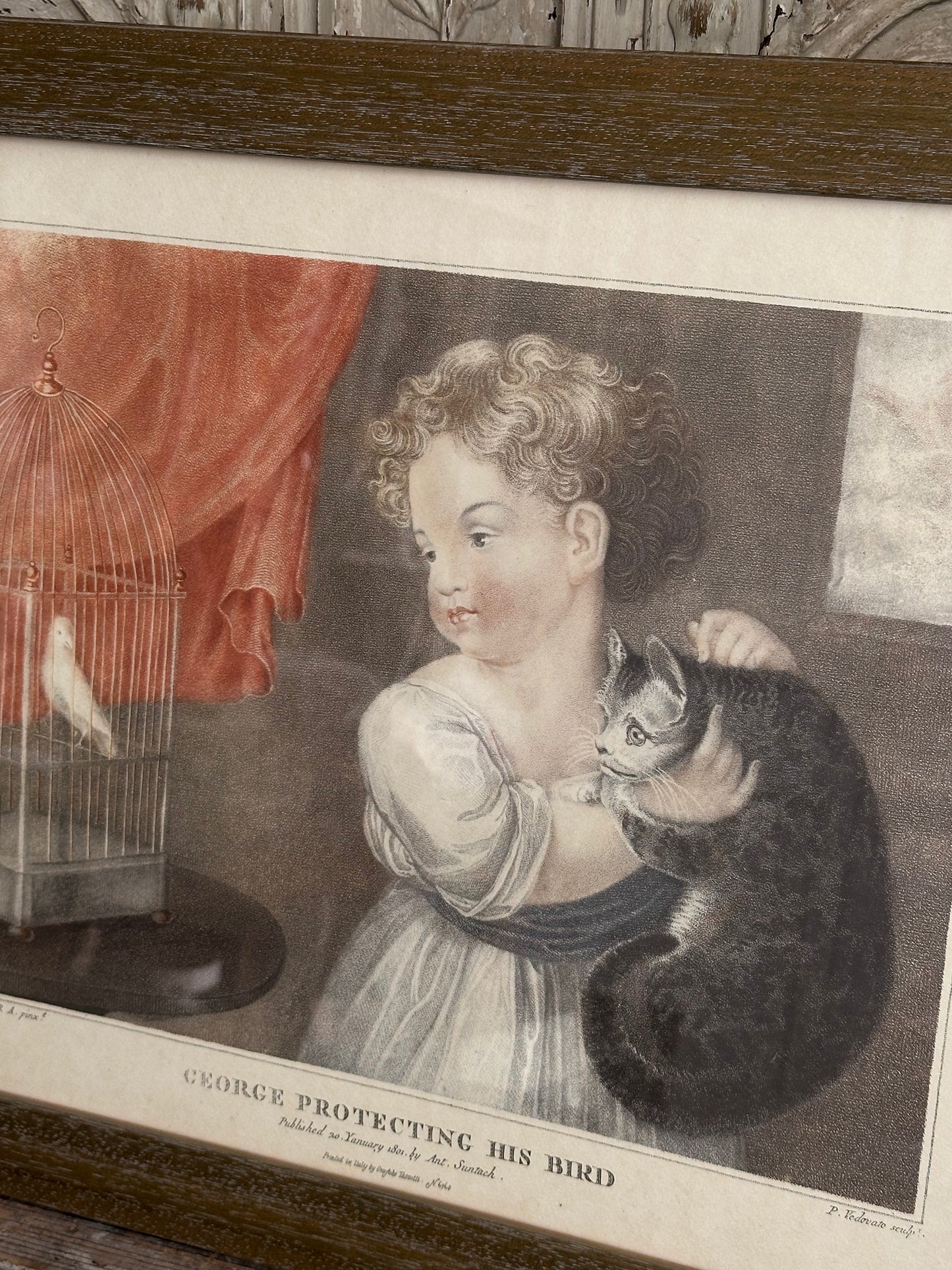 Georges protecting his bird