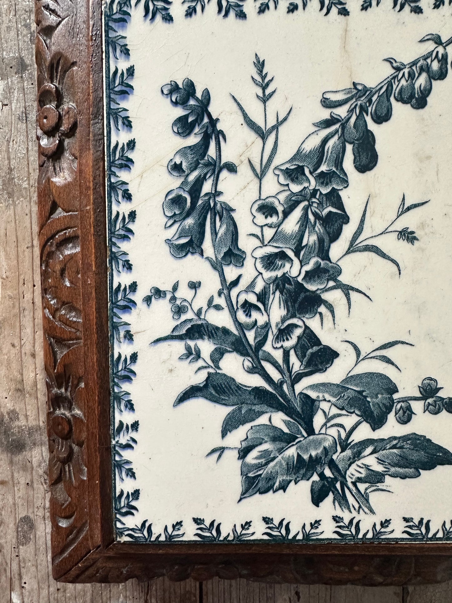 Digitales et papillons