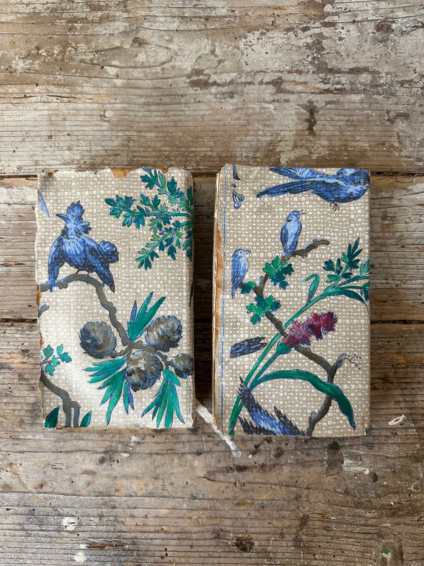 Livres aux oiseaux