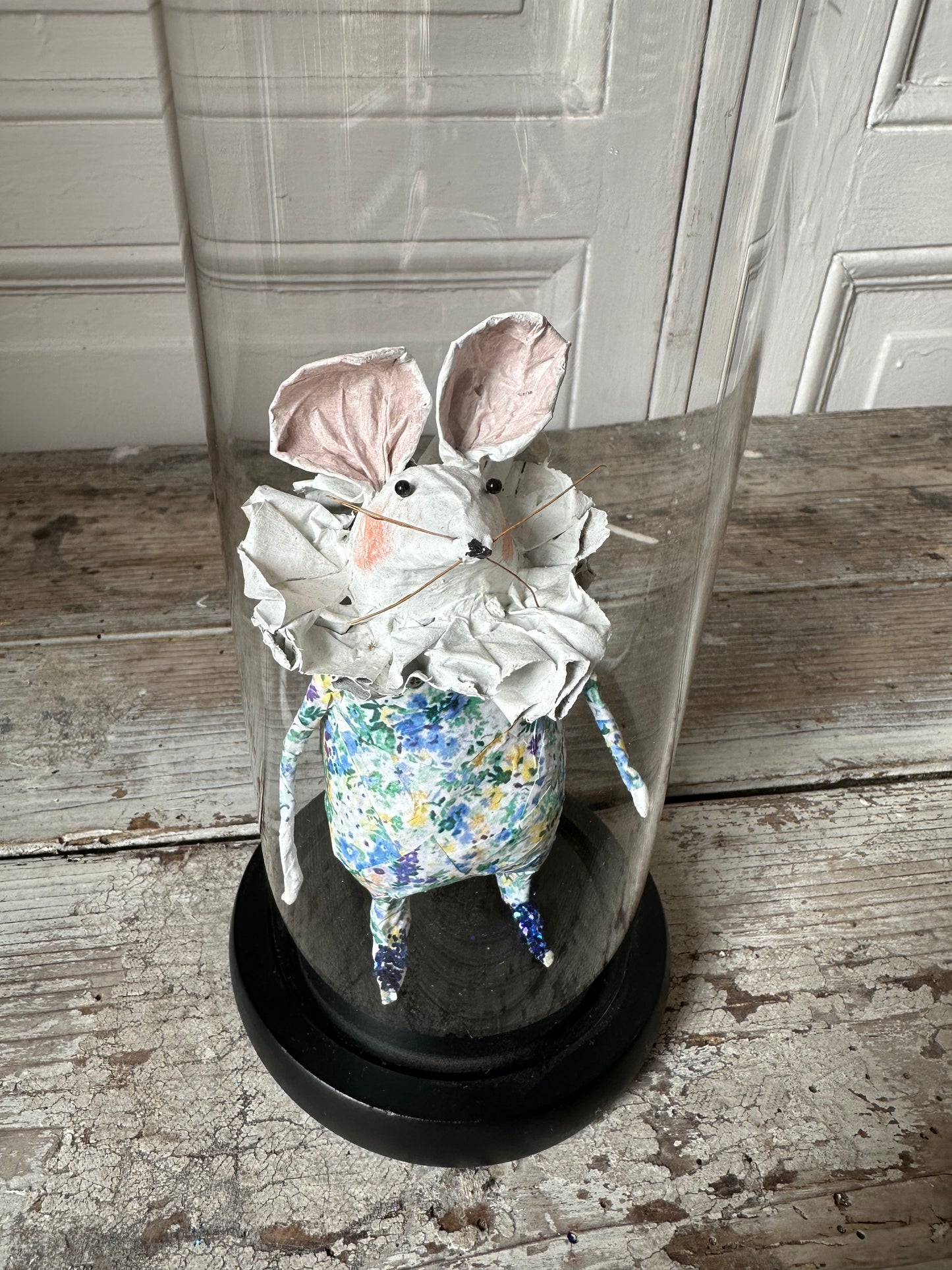 Petite souris sous cloche