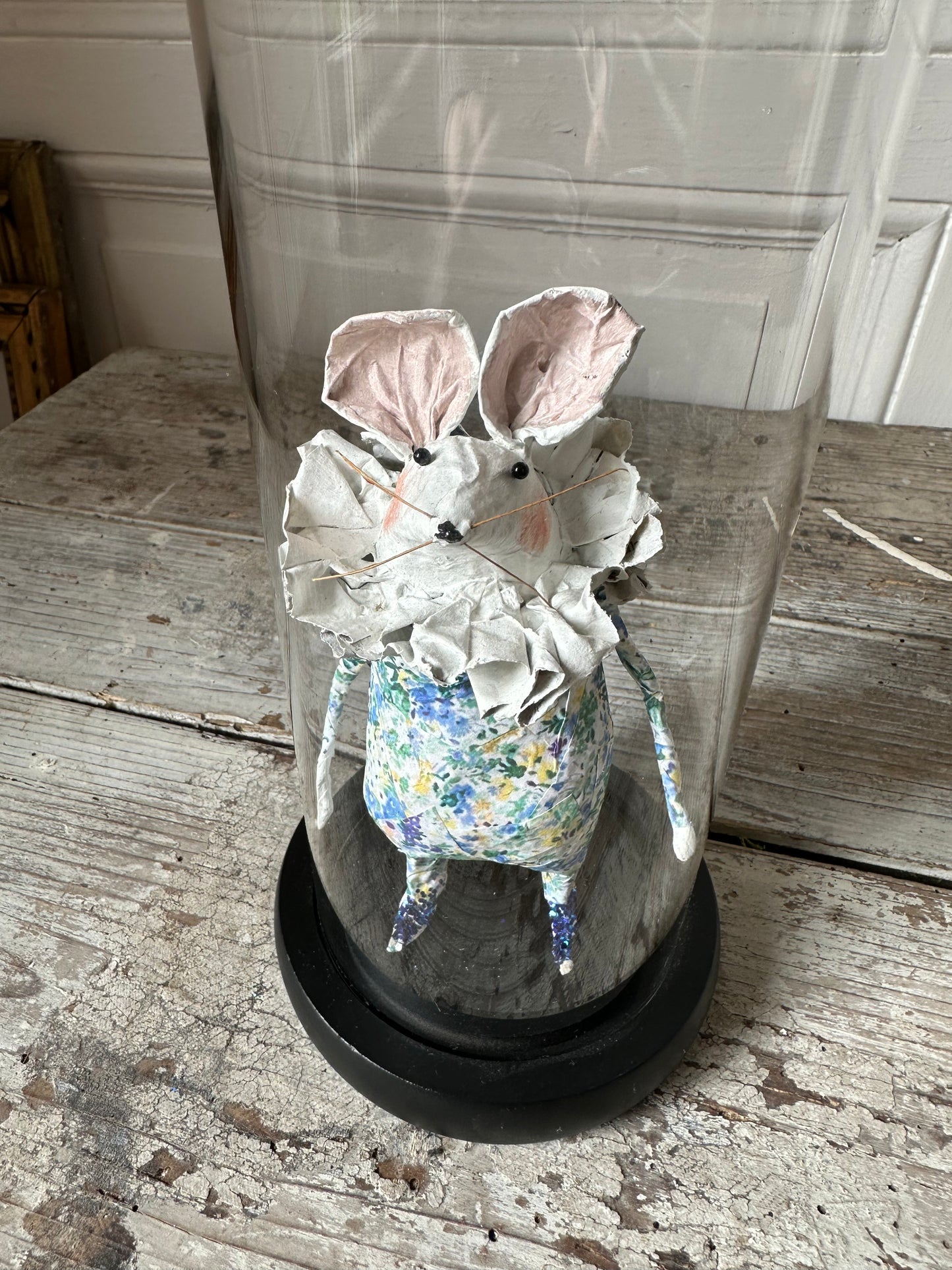 Petite souris sous cloche