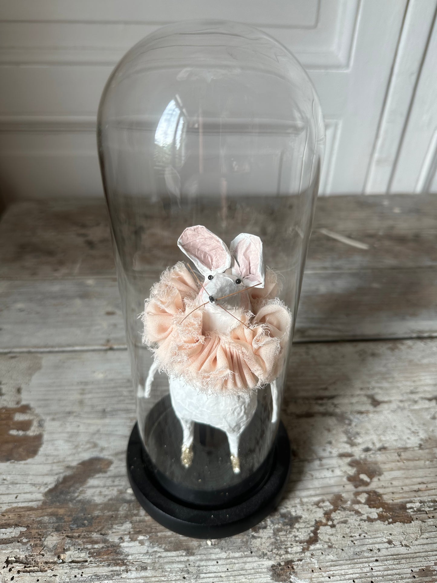 Petite souris sous cloche