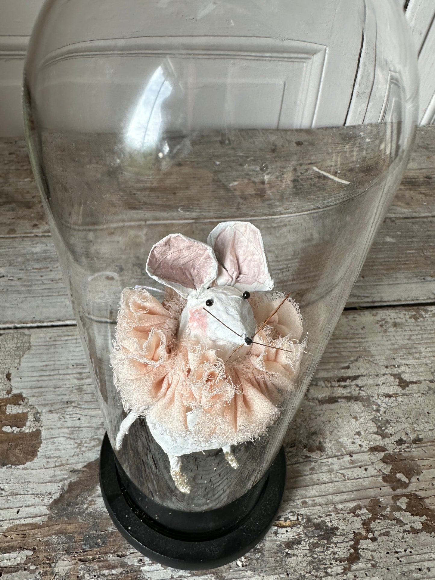 Petite souris sous cloche