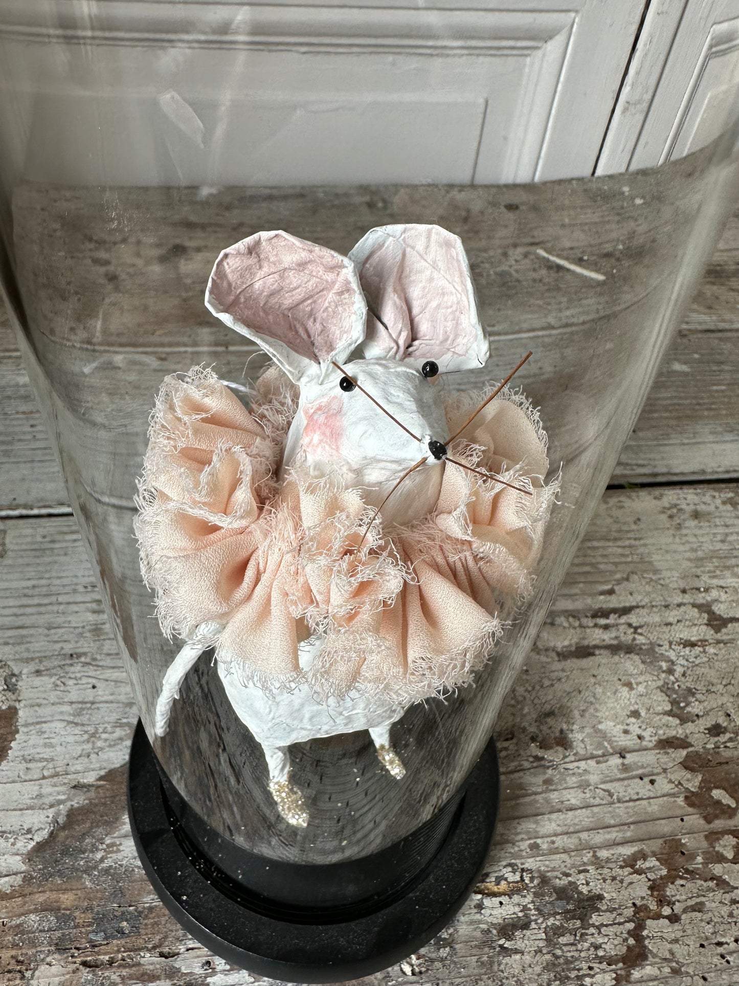 Petite souris sous cloche