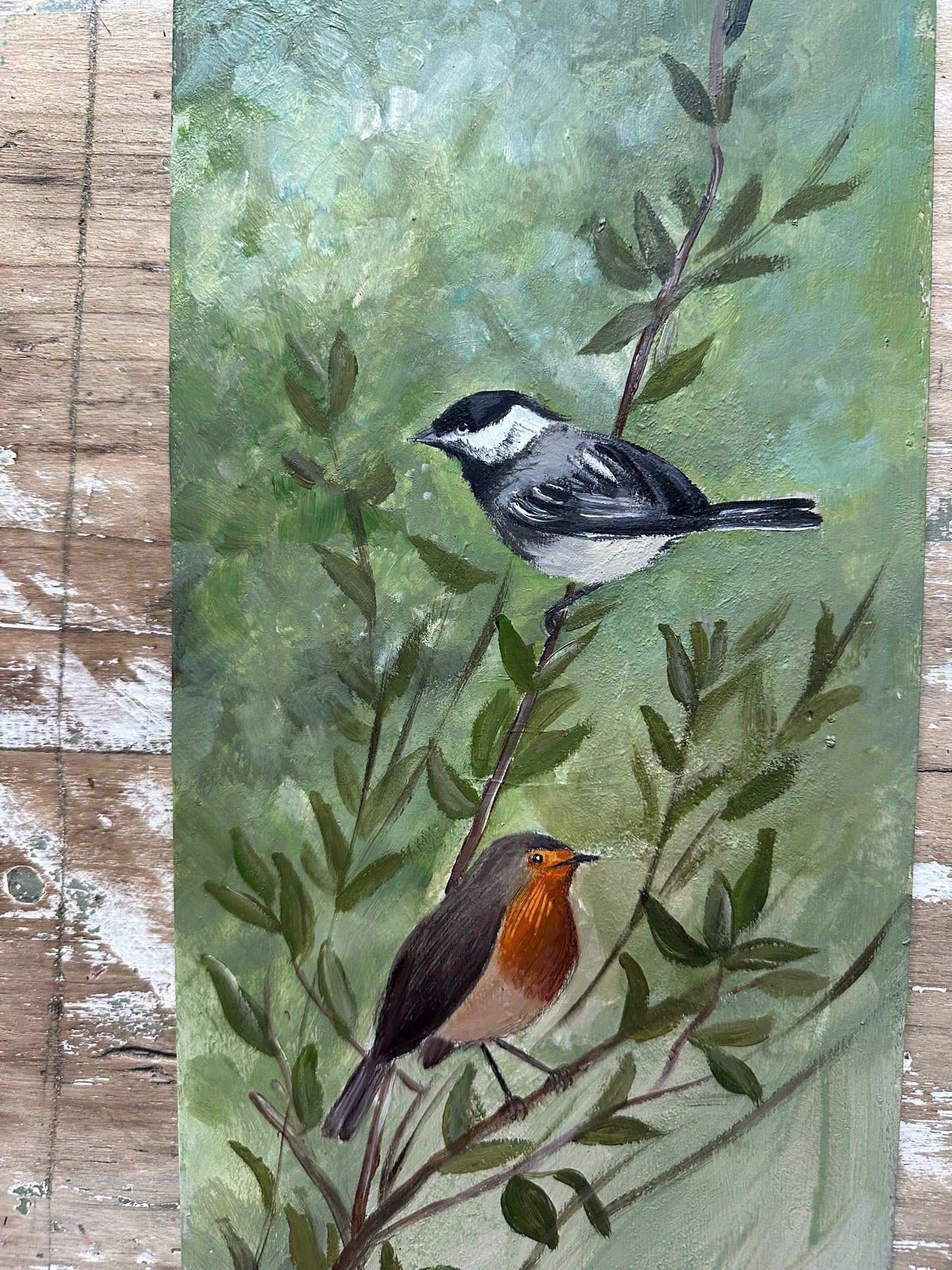 Mésange et rouge gorge