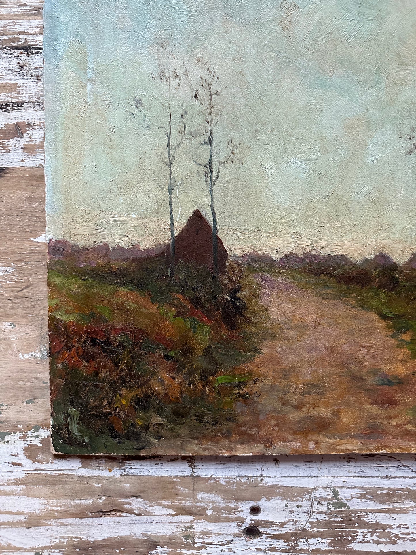 Paysage de campagne en hiver