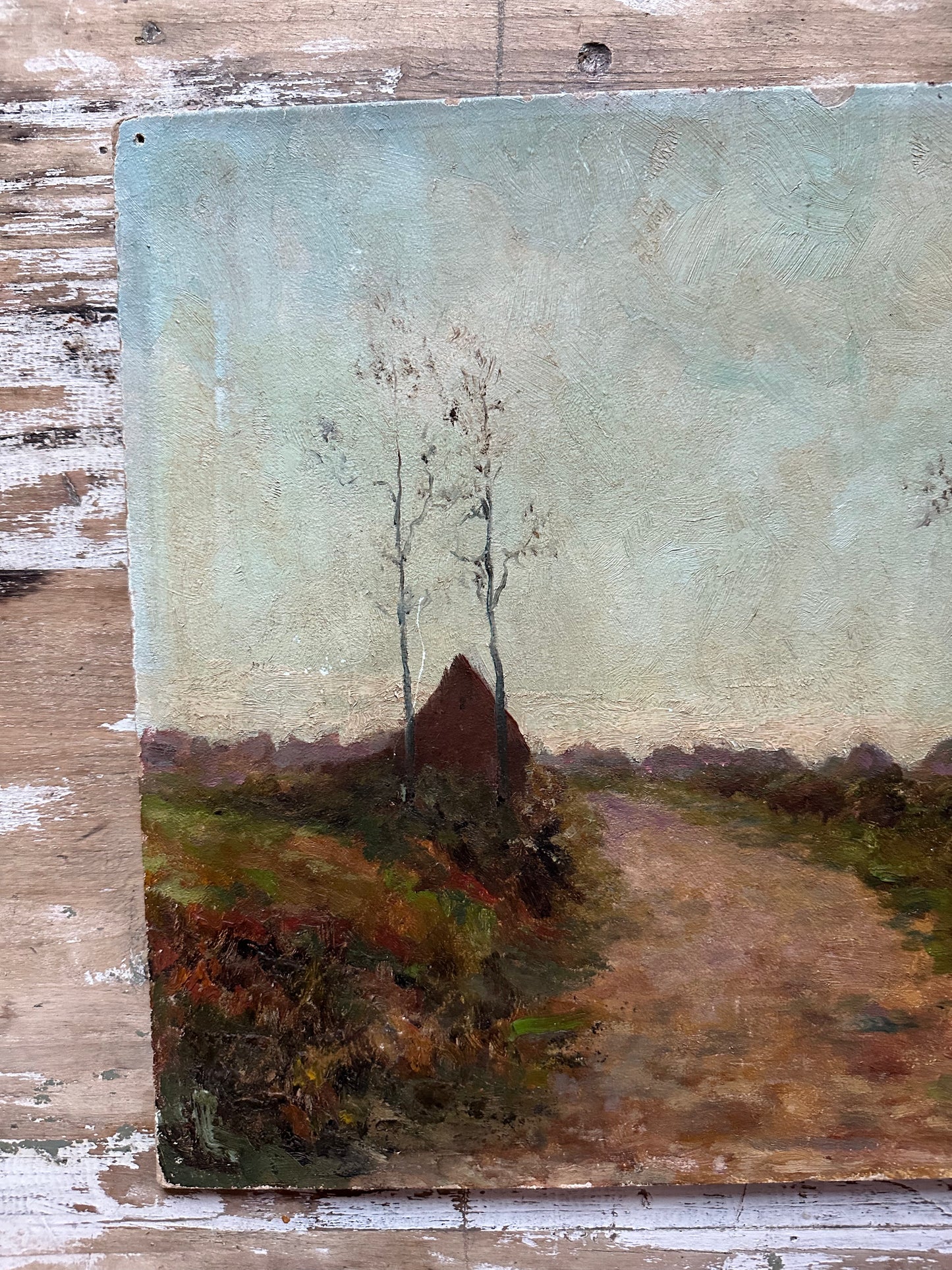 Paysage de campagne en hiver