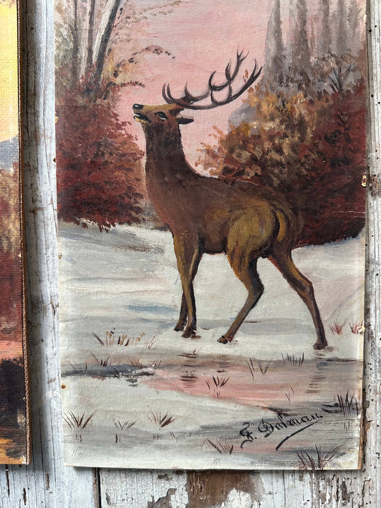 Le cerf