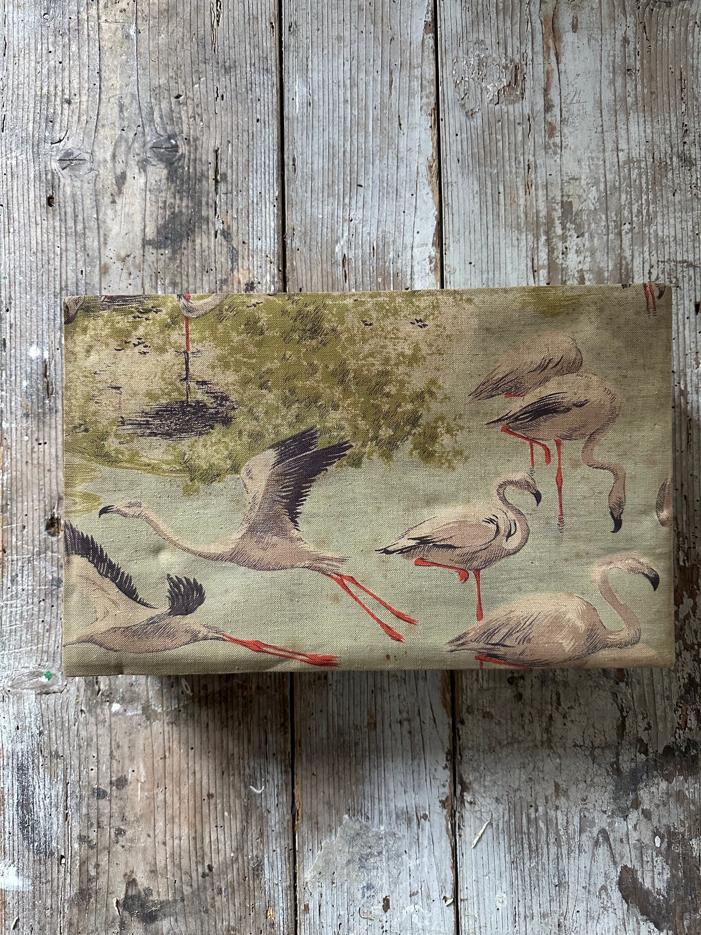 Les flamands roses