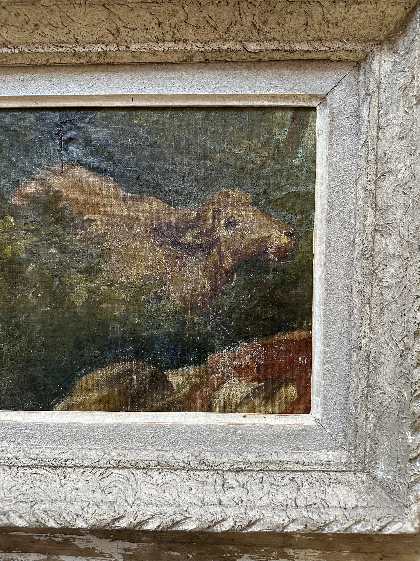 Le mouton