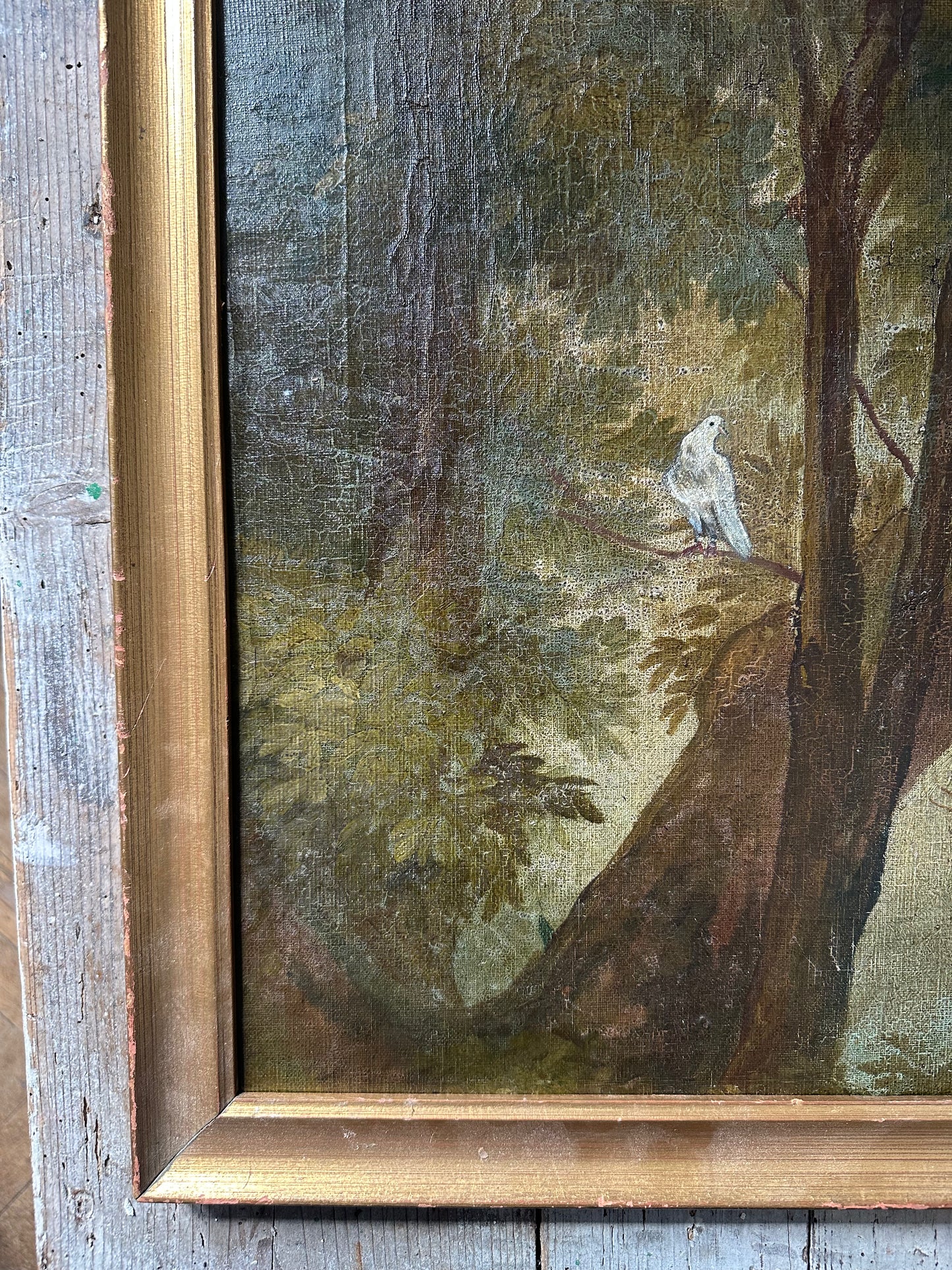 Le pigeon