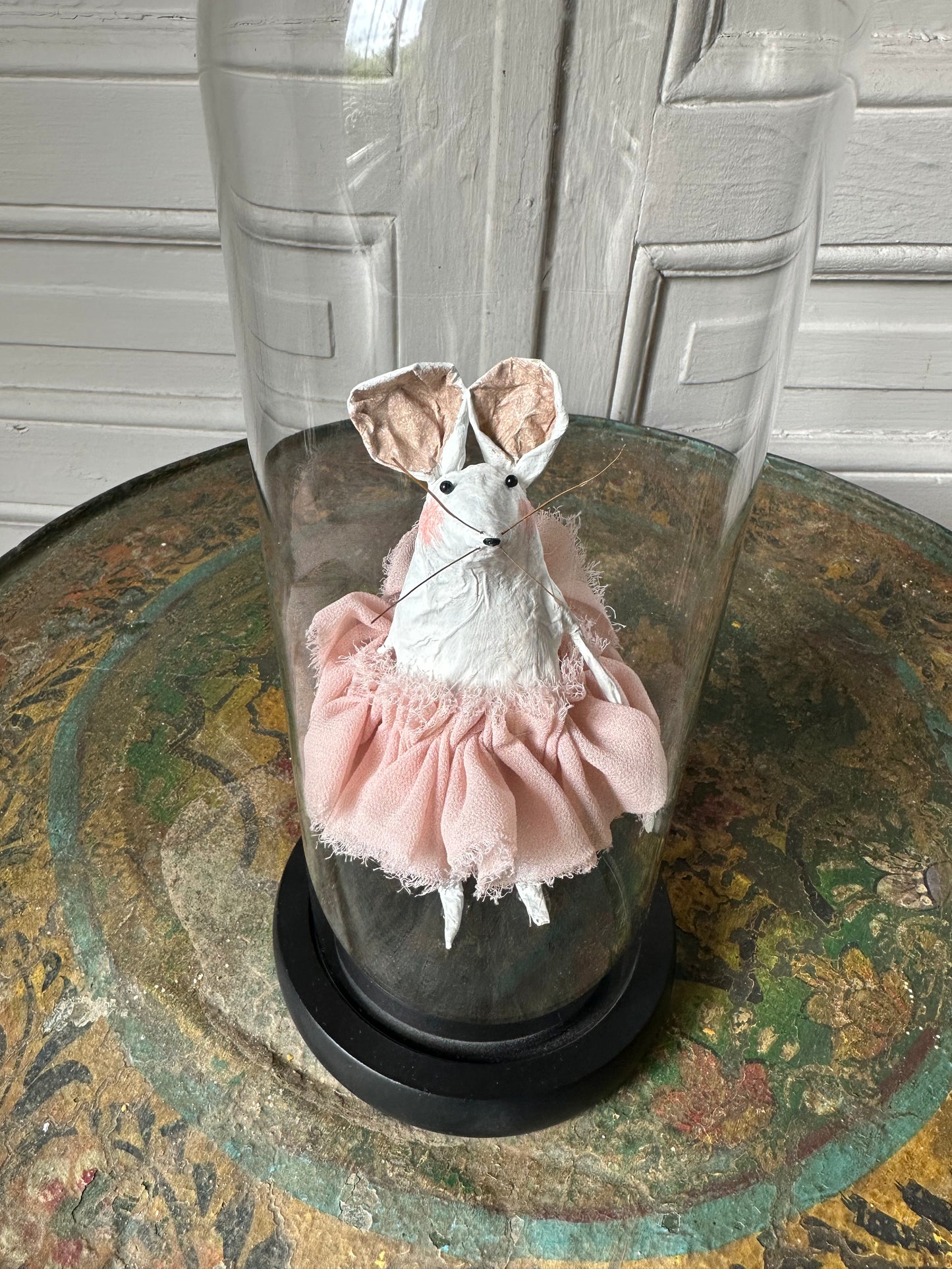 Souris sous cloche