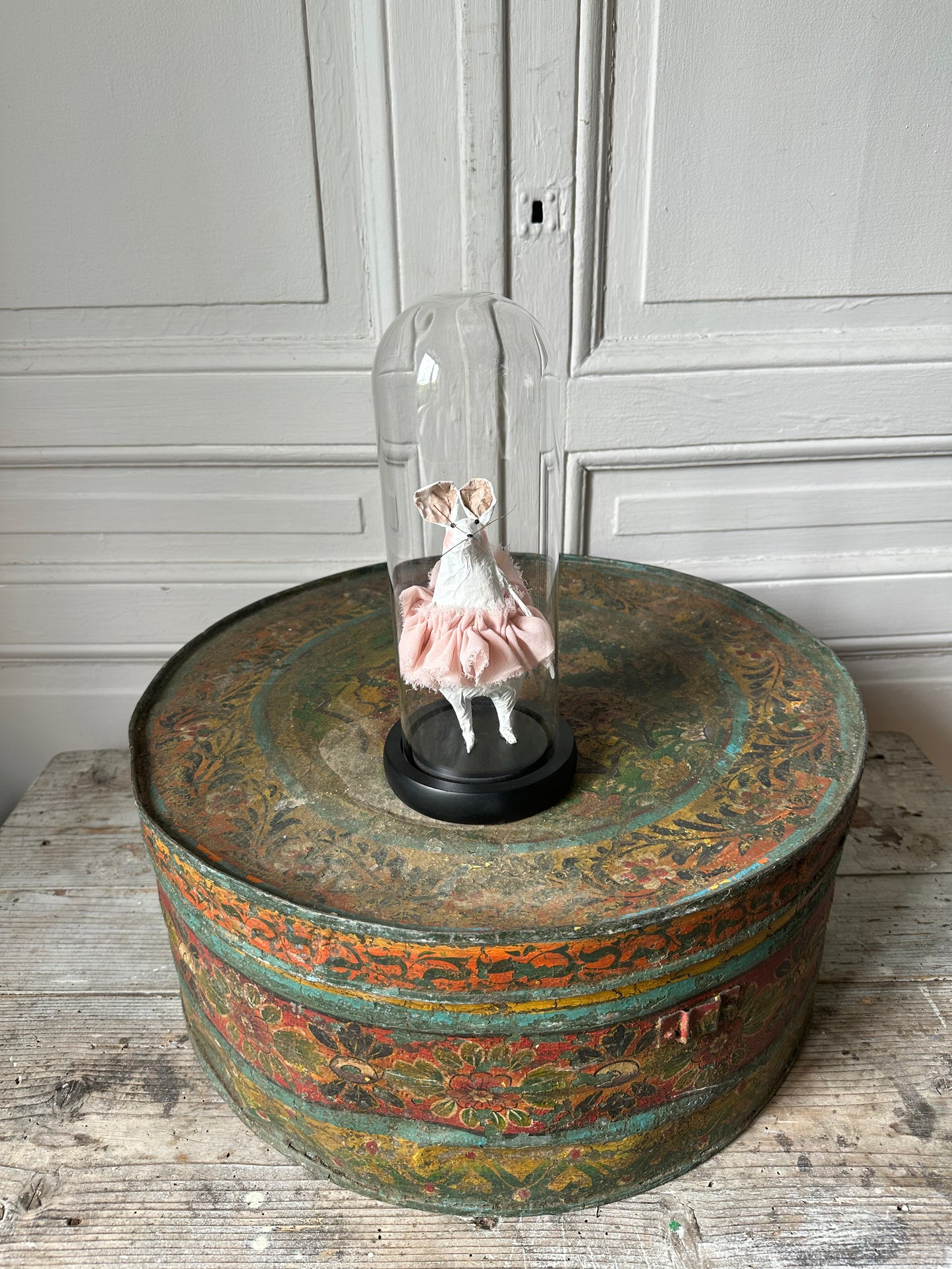 Souris sous cloche