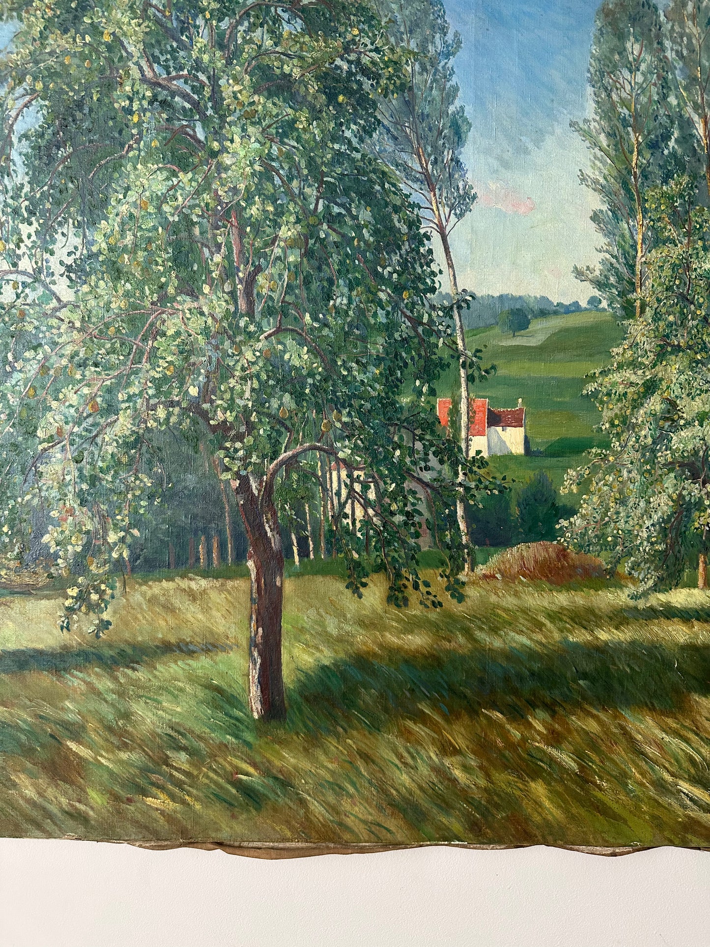 Paysage animé