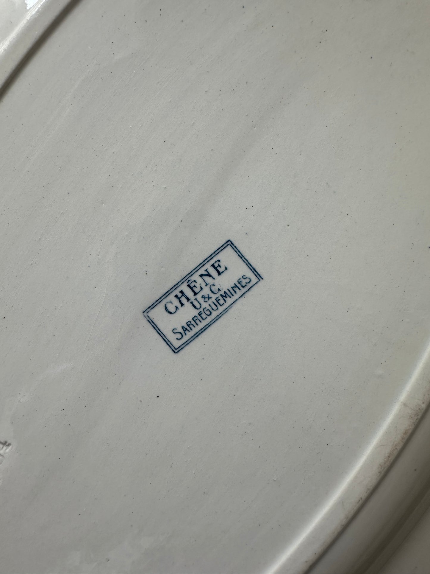 Chêne