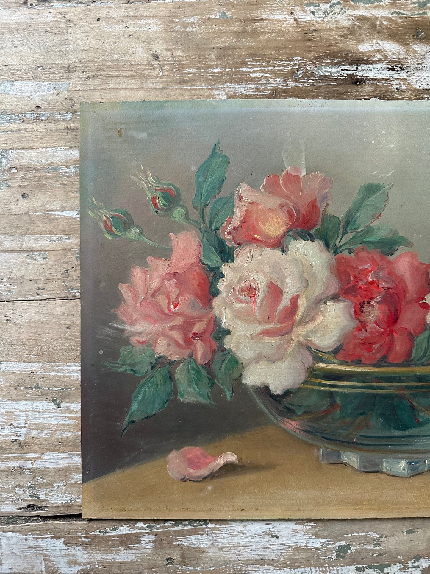 Les roses de Barnier