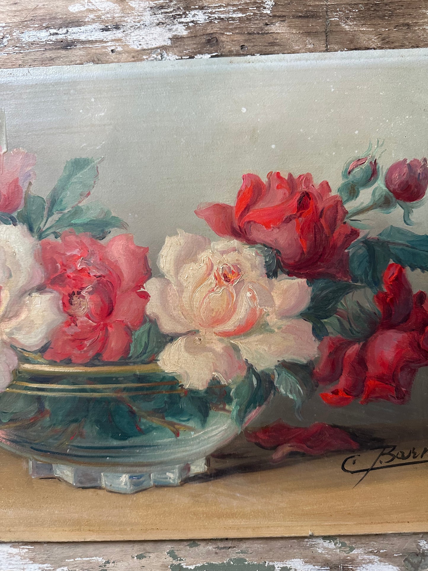 Les roses de Barnier