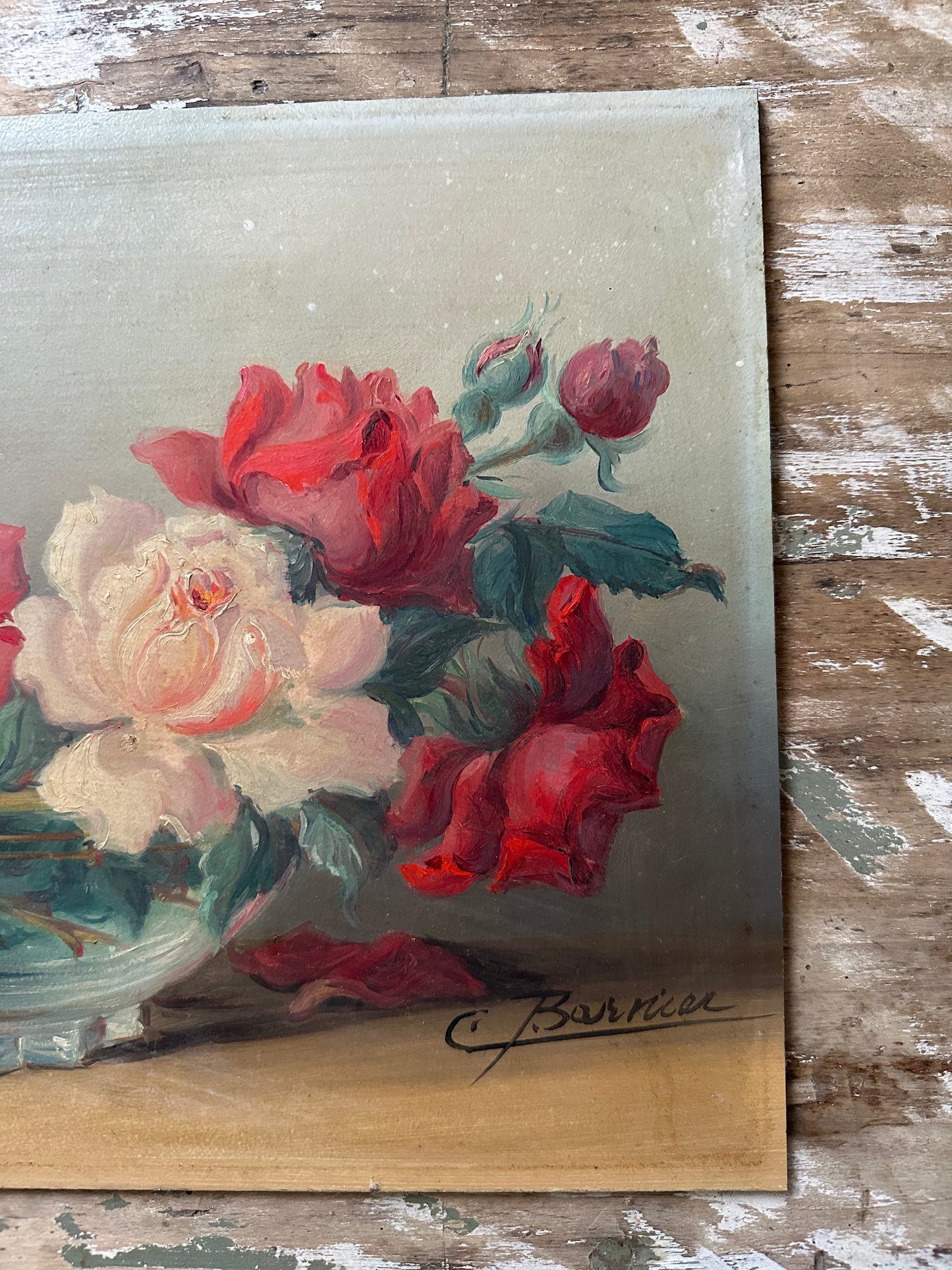 Les roses de Barnier