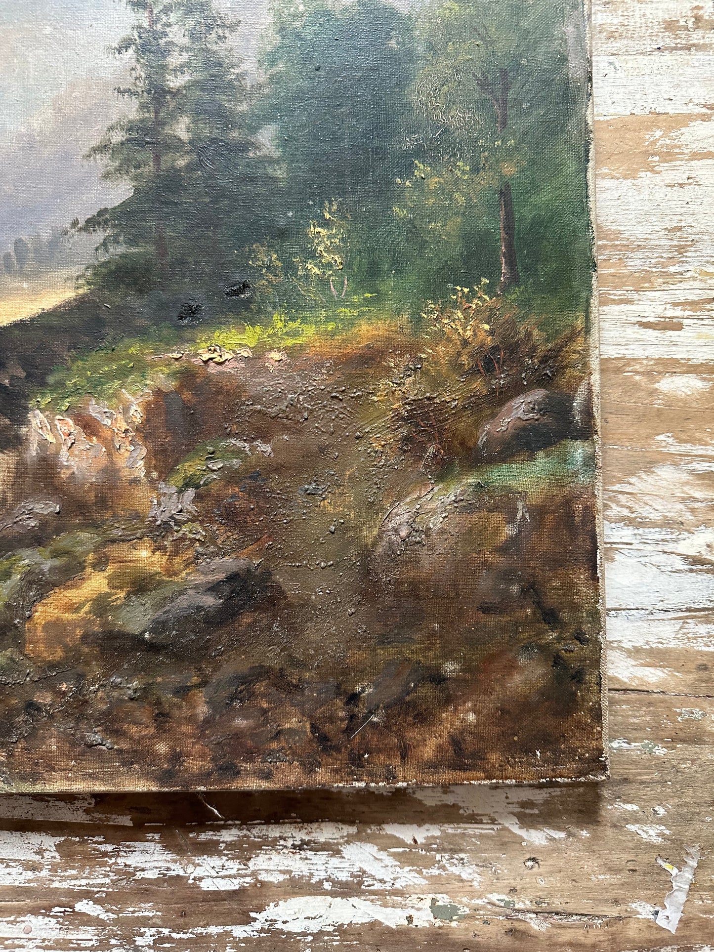 Paysage de montagne