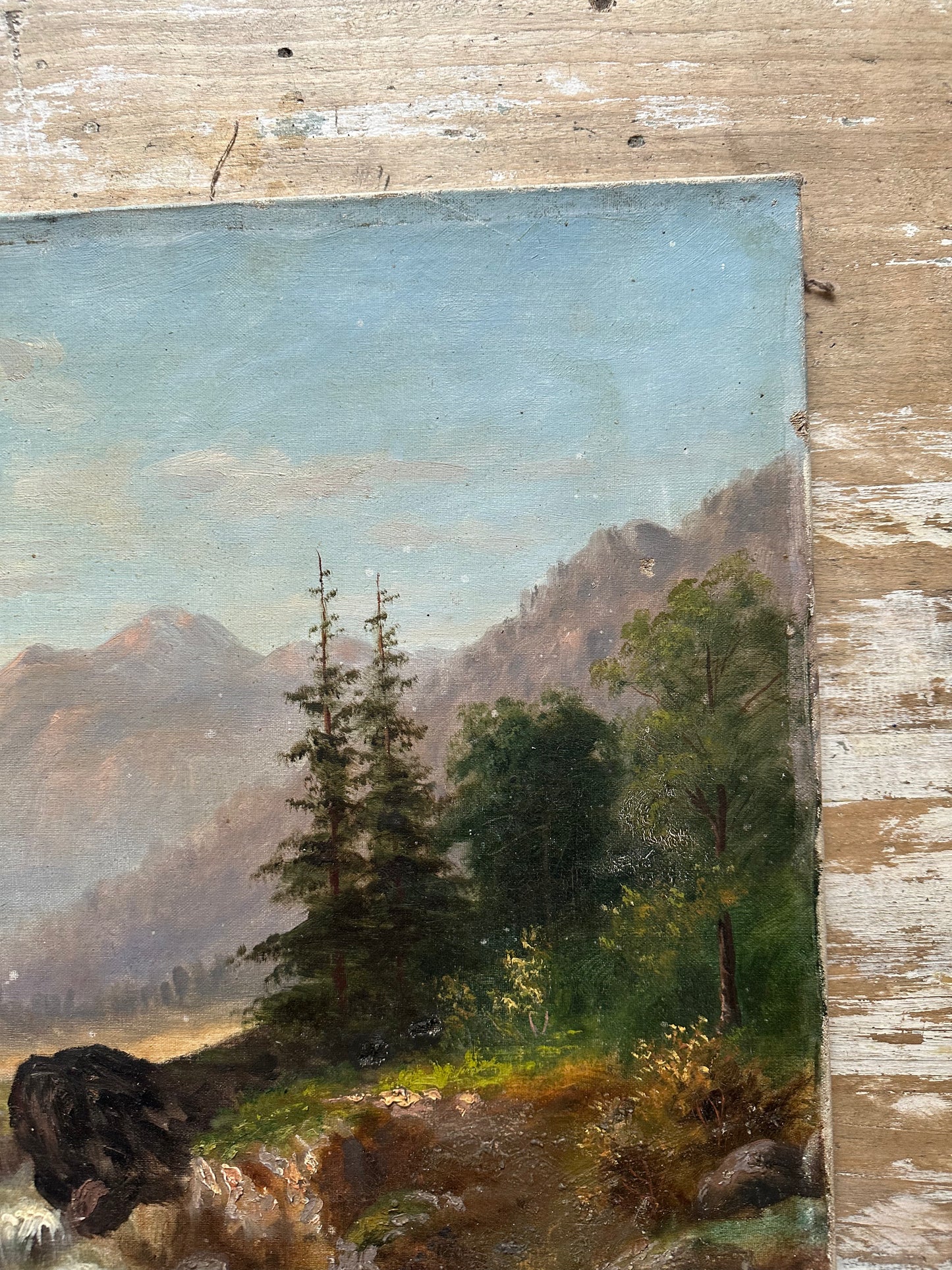 Paysage de montagne