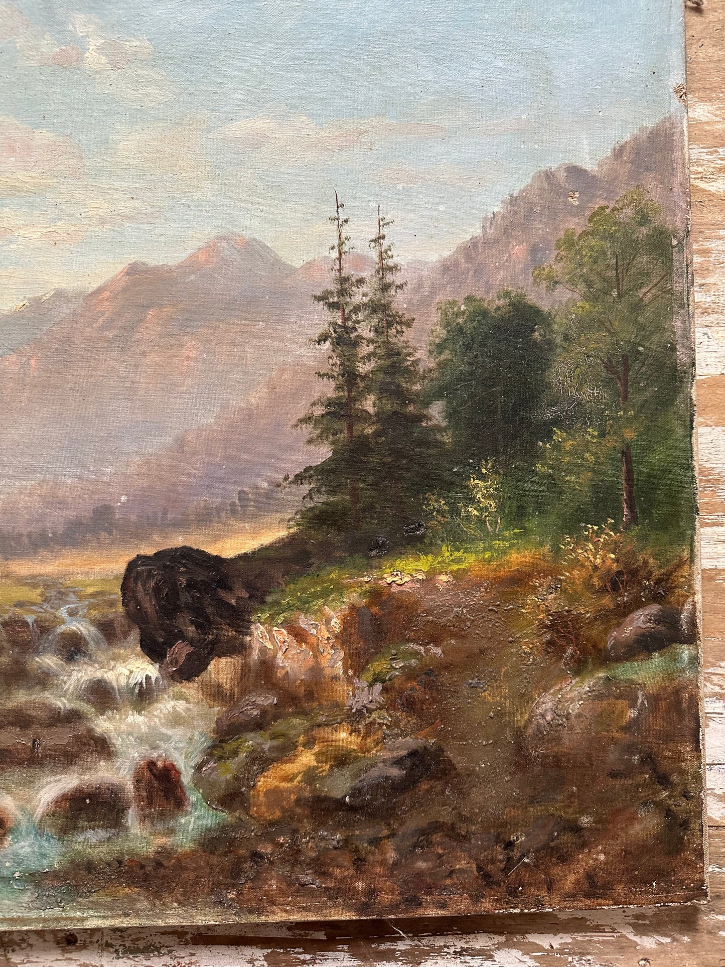 Paysage de montagne