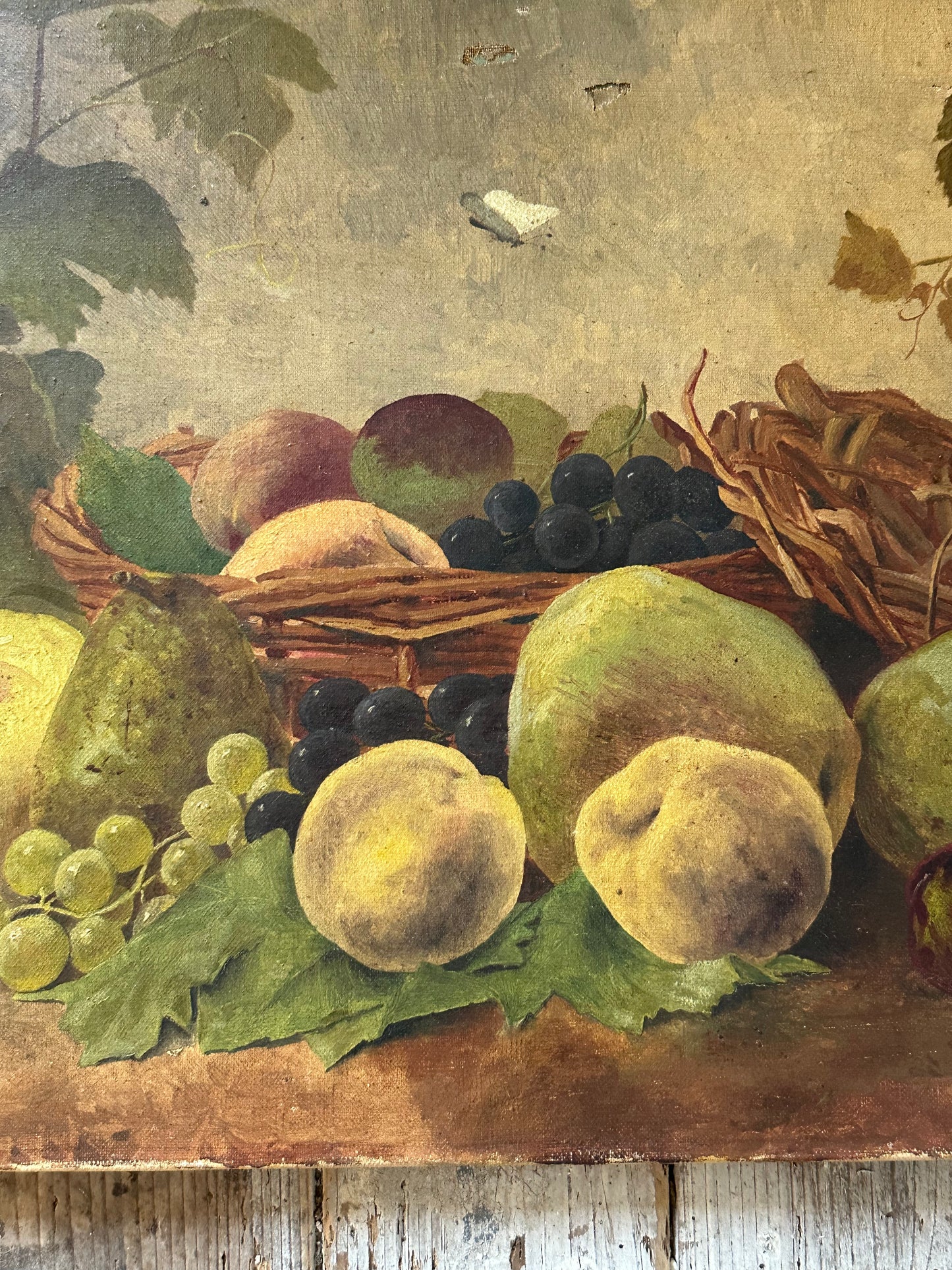 Nature morte au papillon blanc