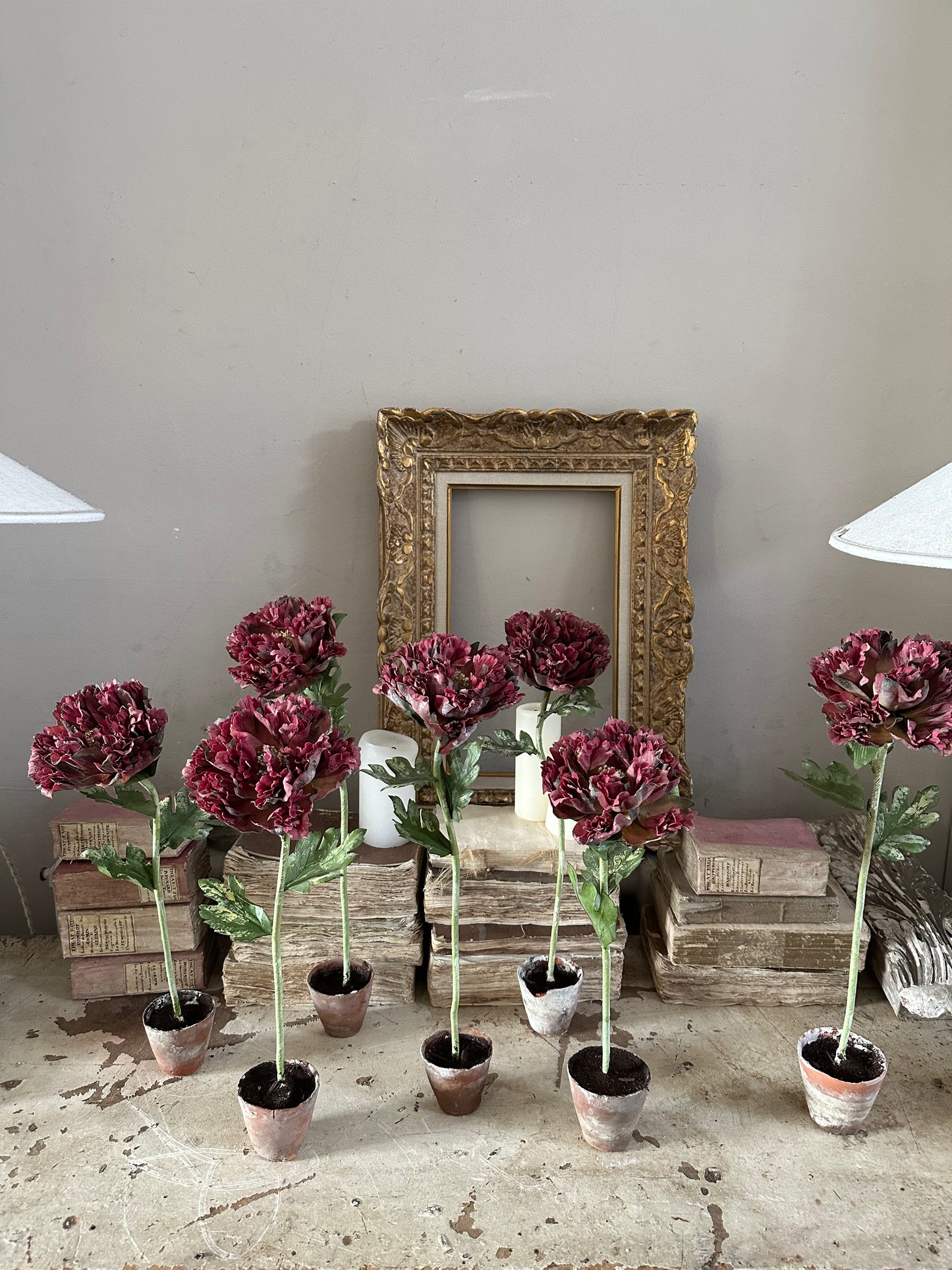 Pivoine