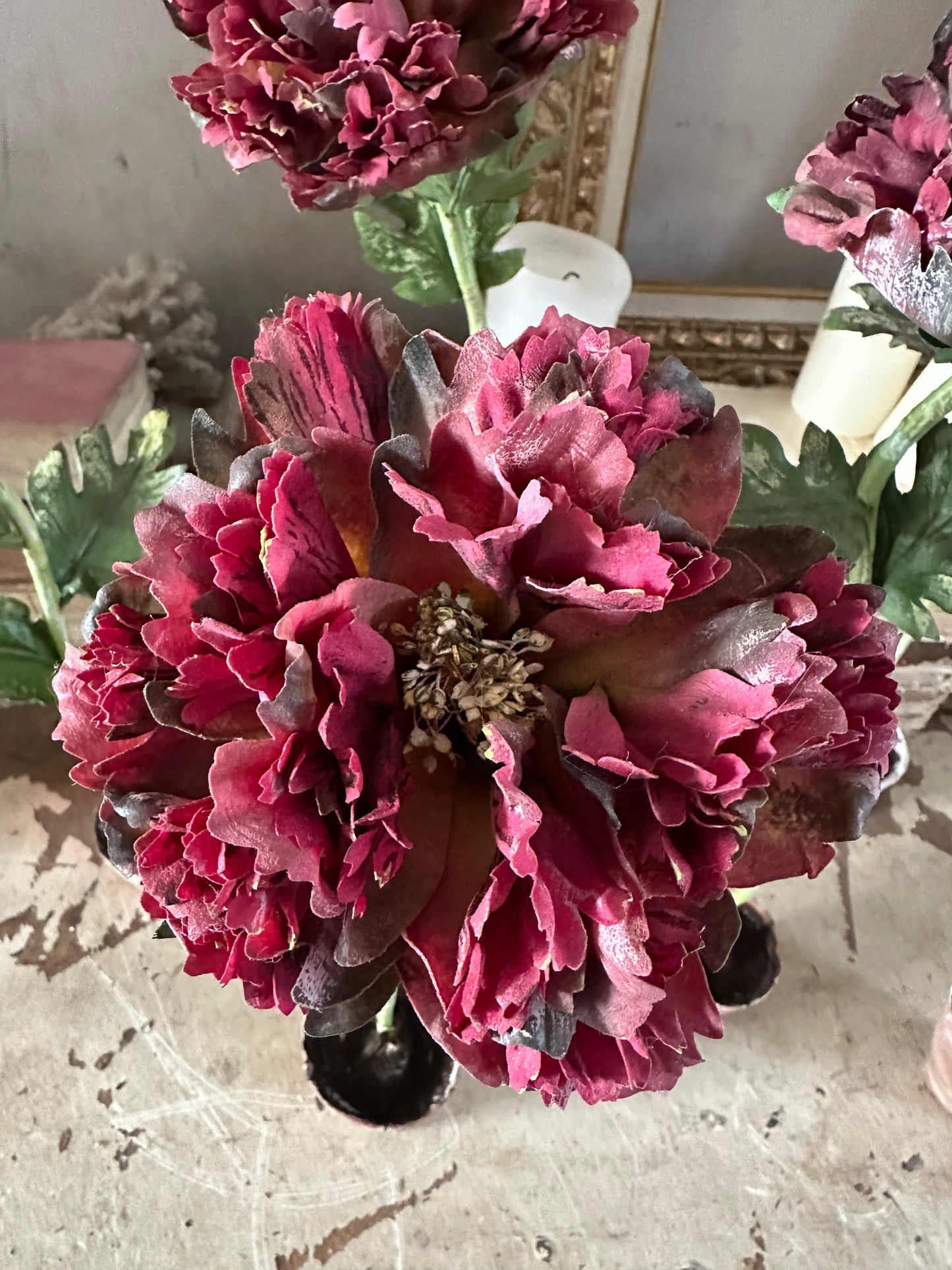 Pivoine