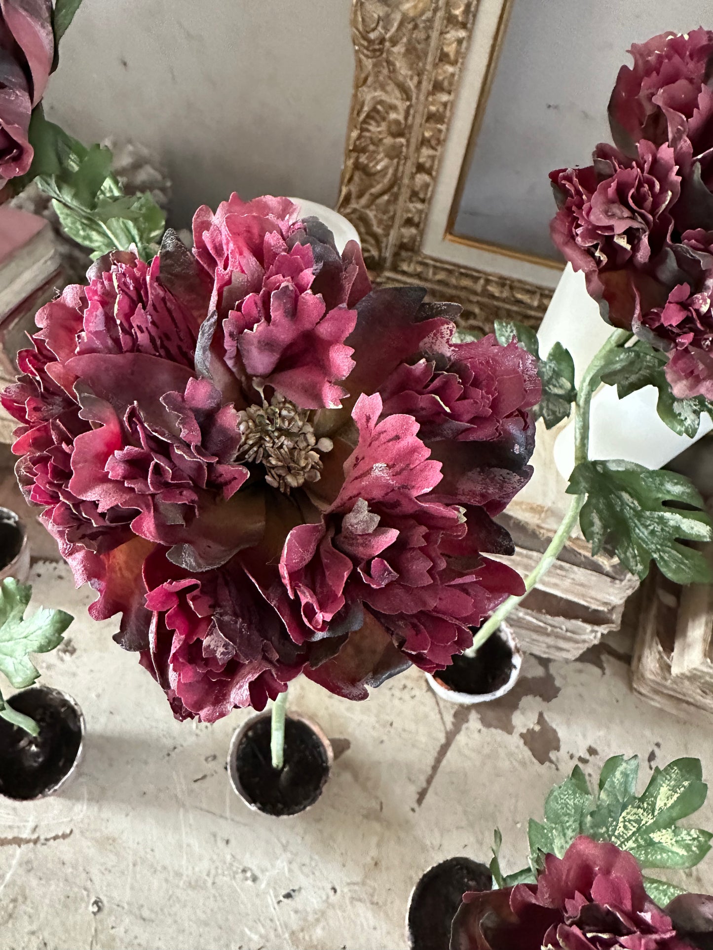 Pivoine