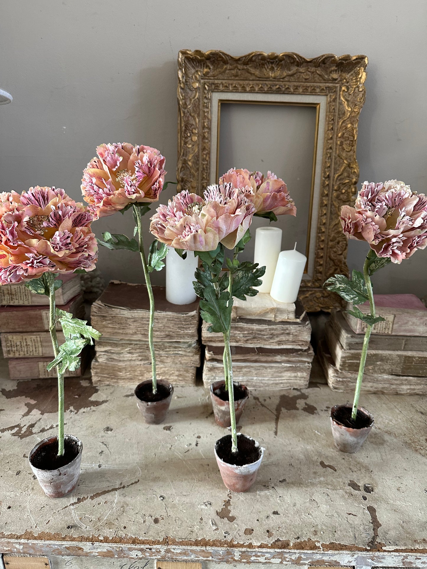 Pivoine