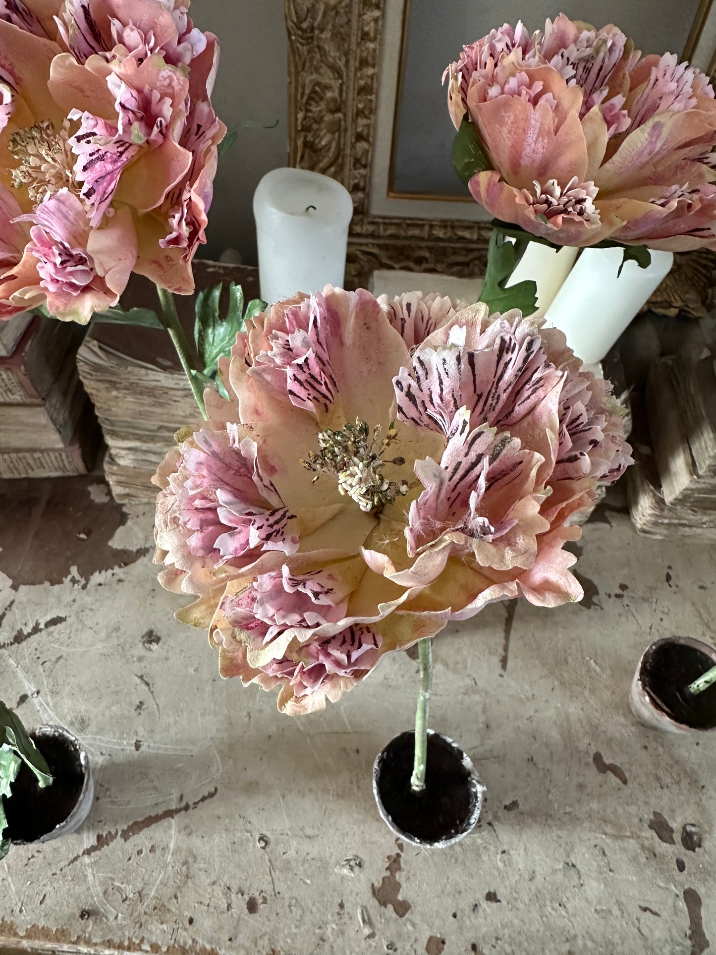 Pivoine
