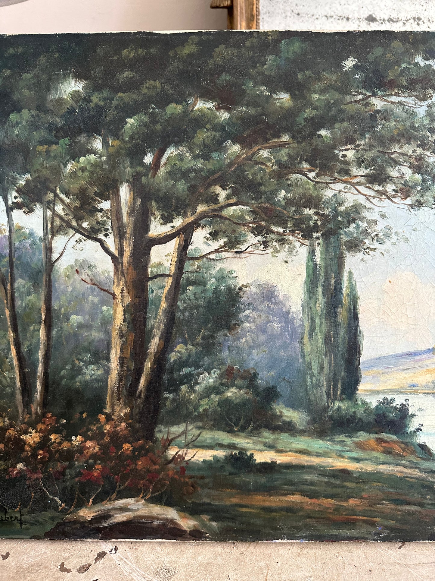 Vue sur le lac