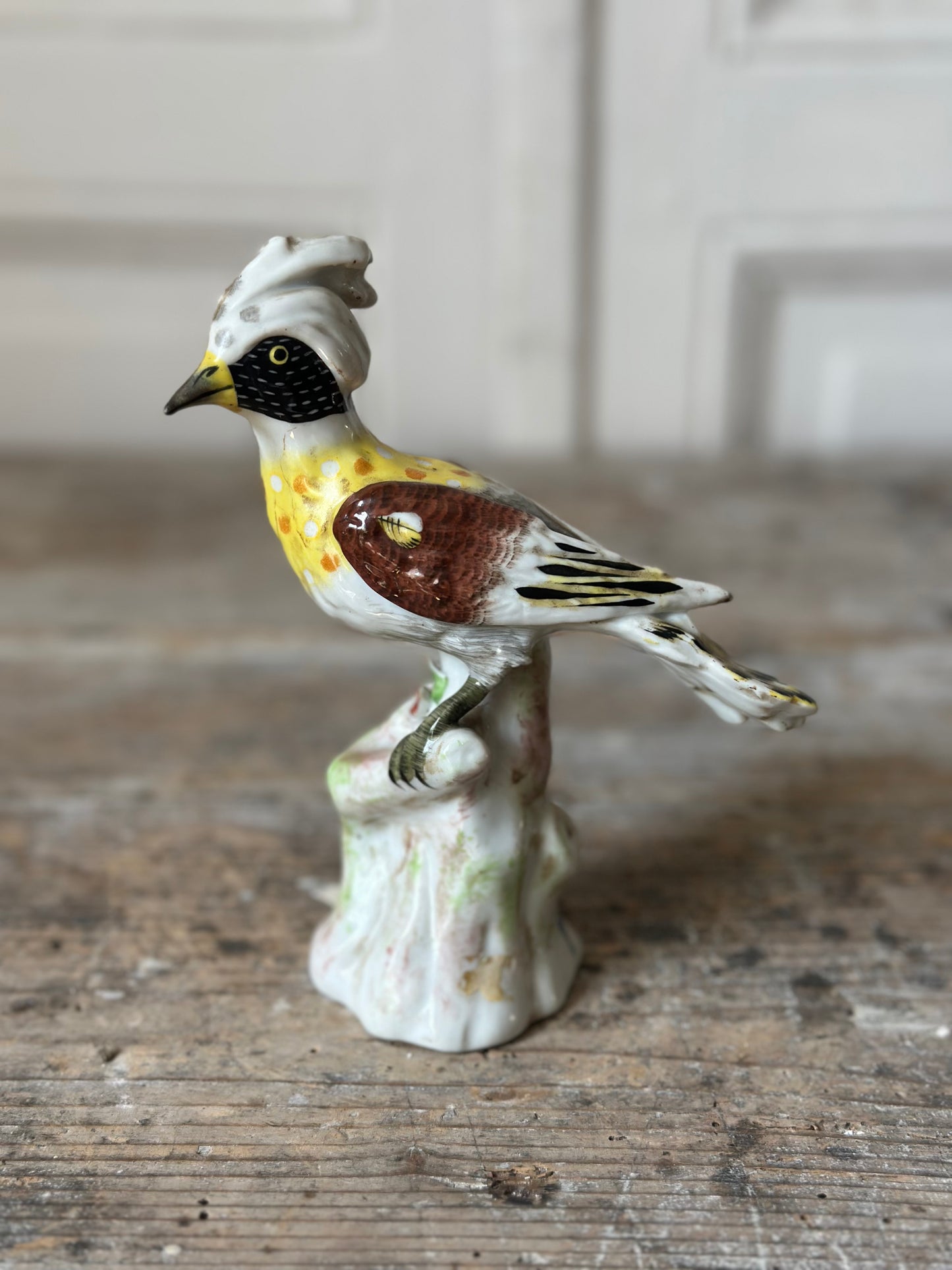 L’oiseau noir et jaune