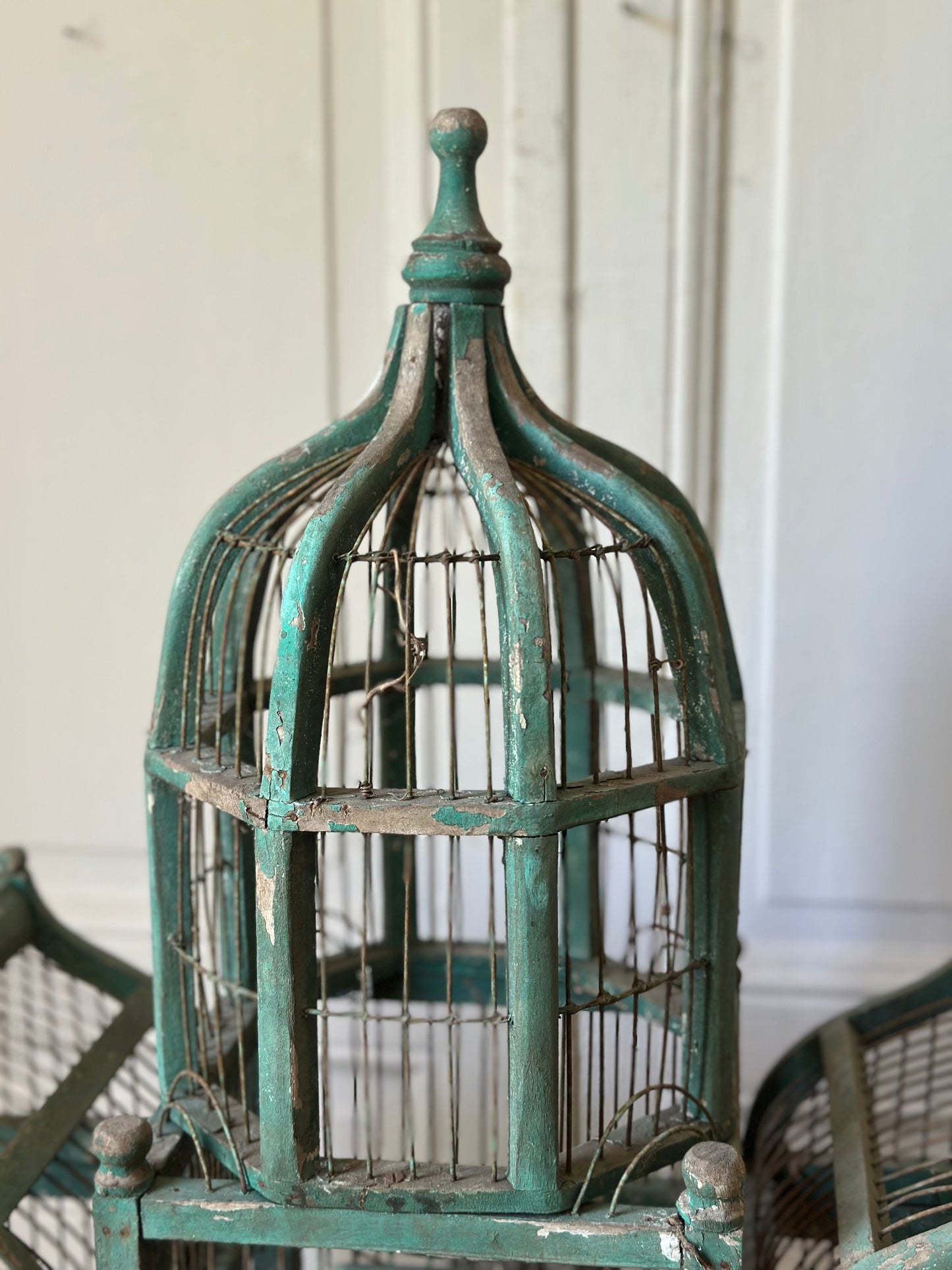 La cage verte