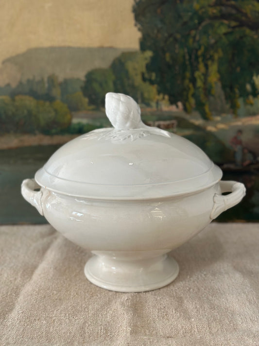 Soupière blanche