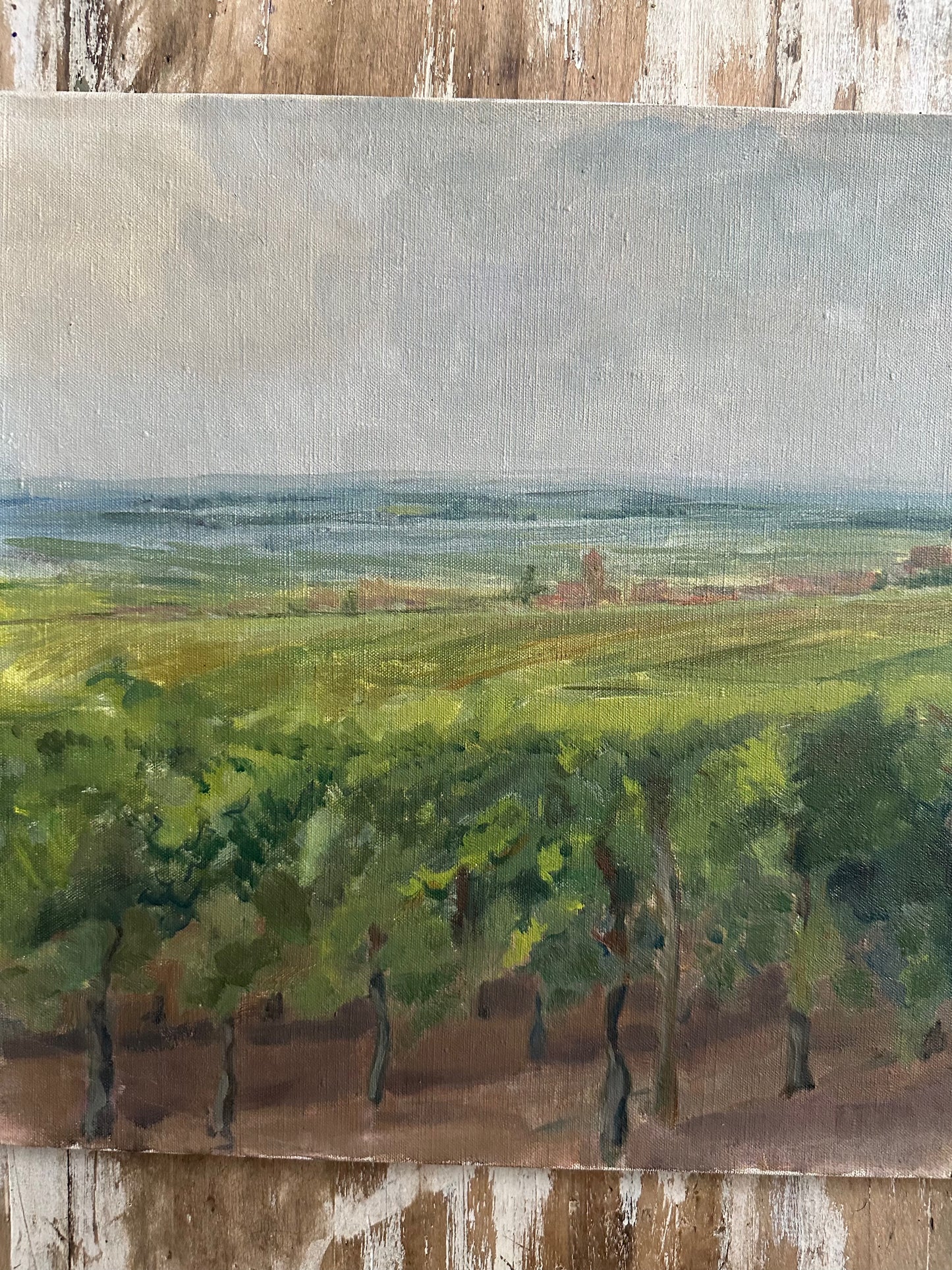 Les vignes
