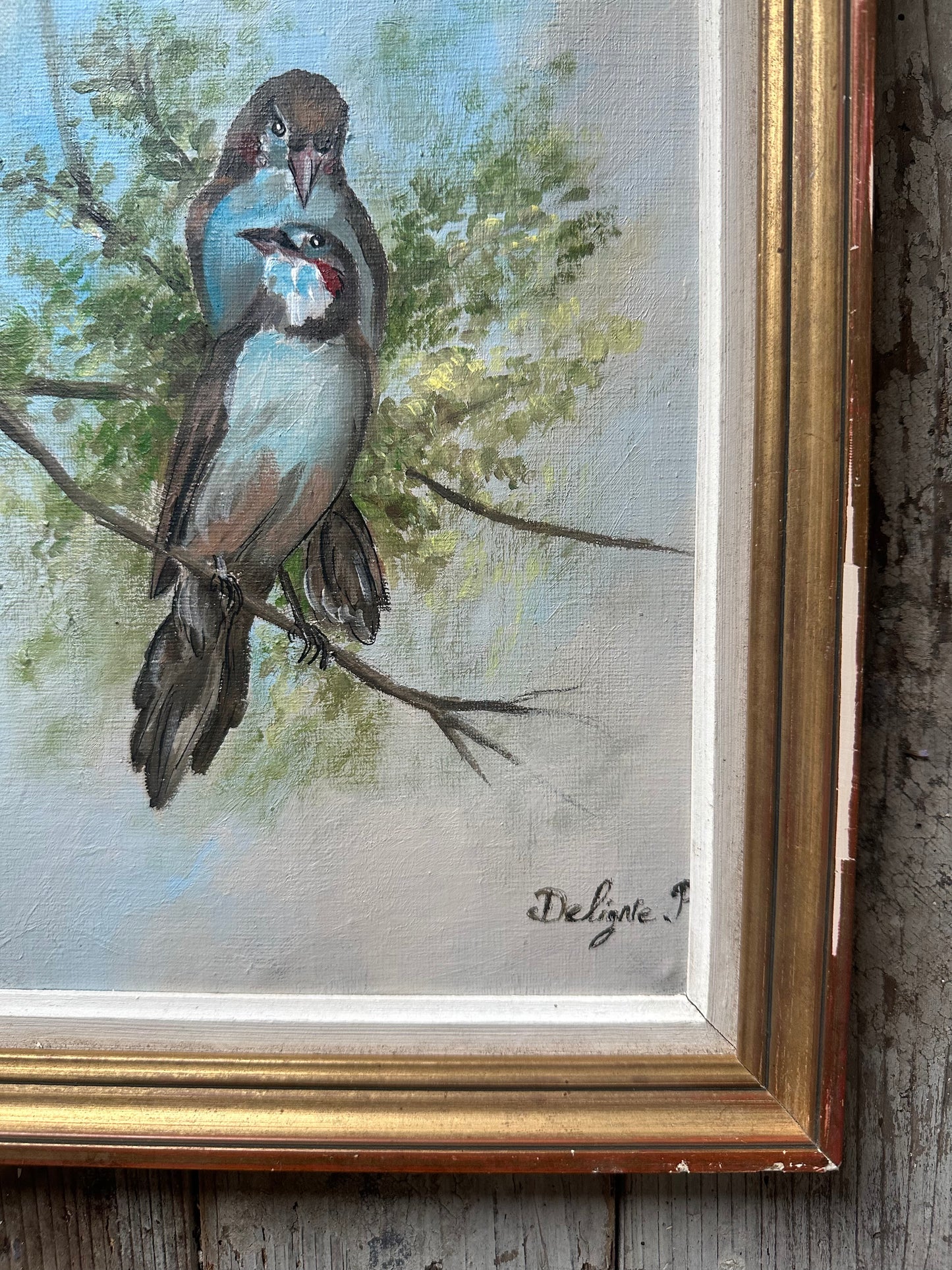 Les oiseaux bleus