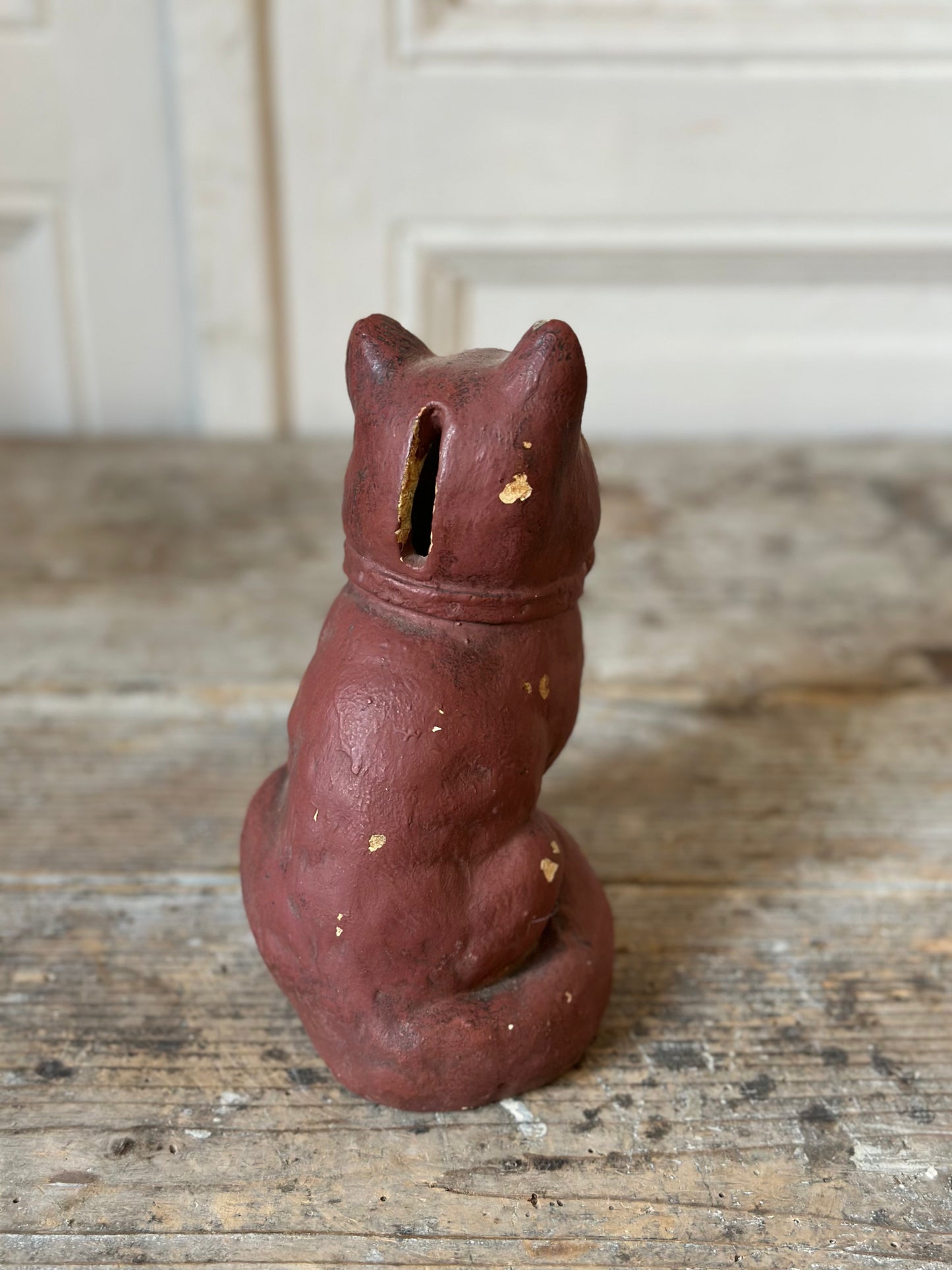 Chat au noeud papillon