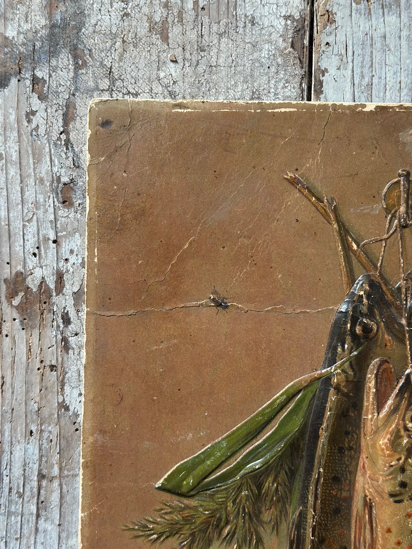 La mouche