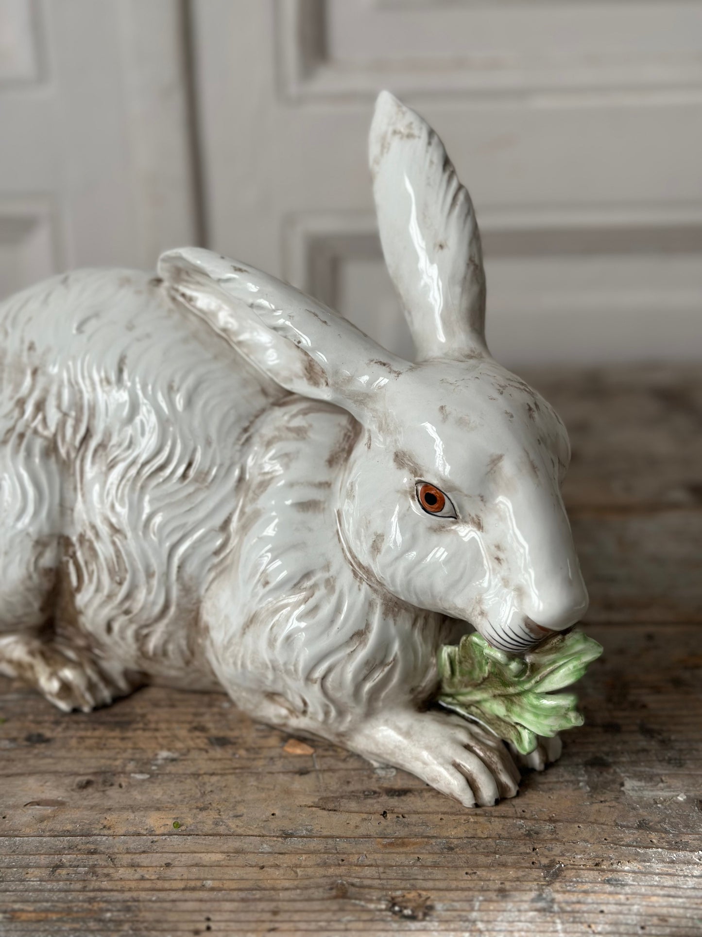 Lapin au feuillage