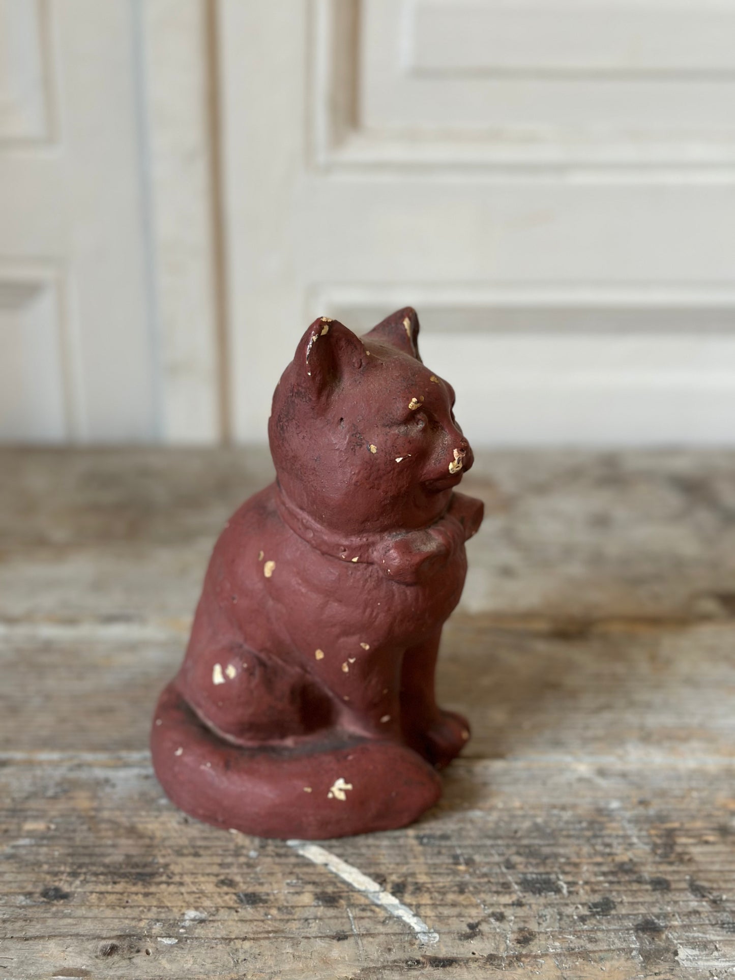 Chat au noeud papillon