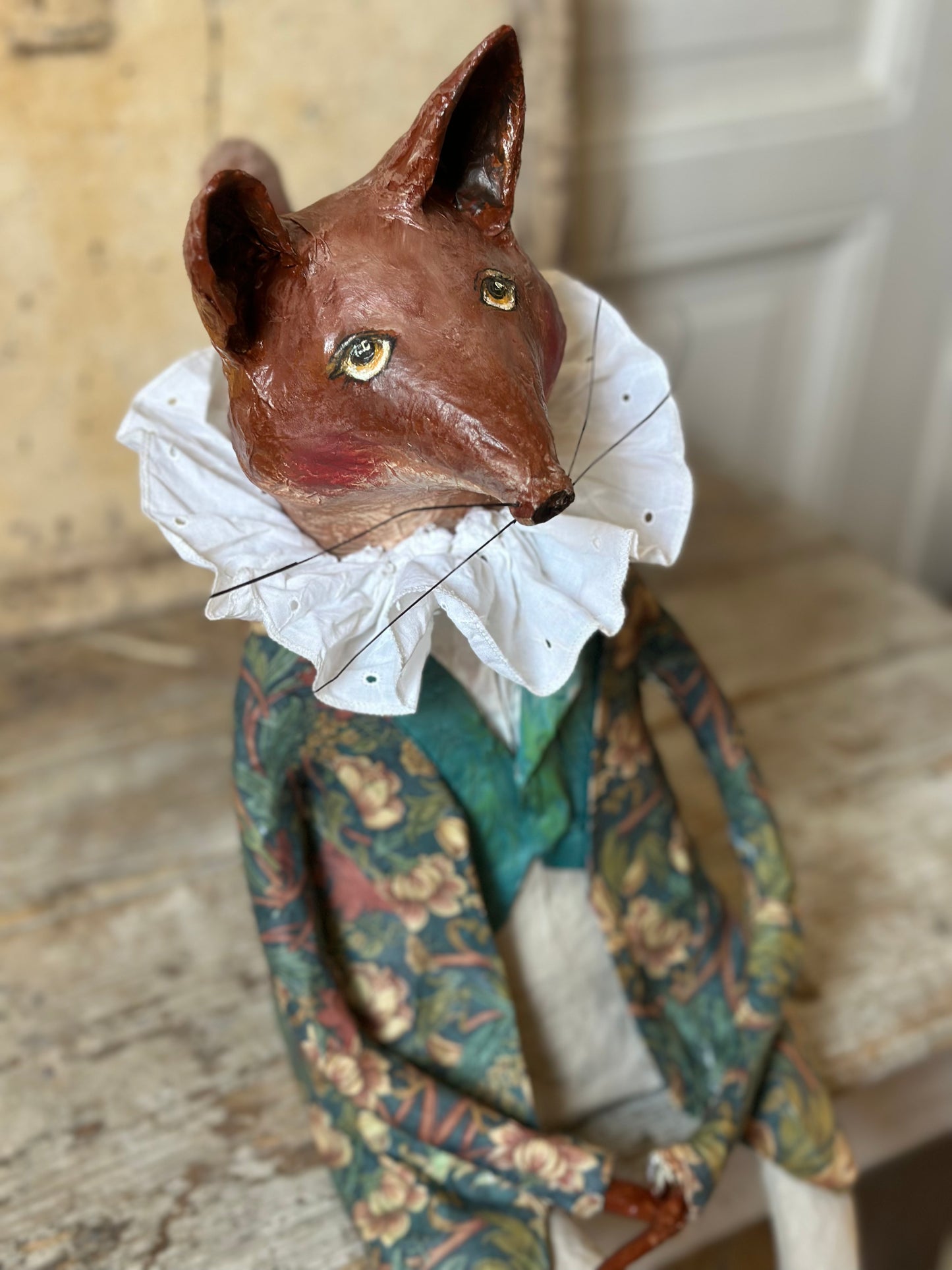 Renard dandy