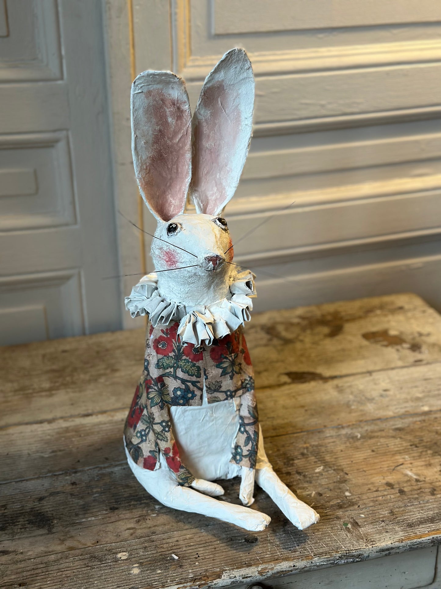 Lapin à collerette