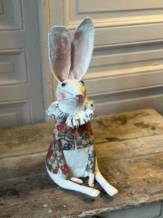 Lapin à collerette