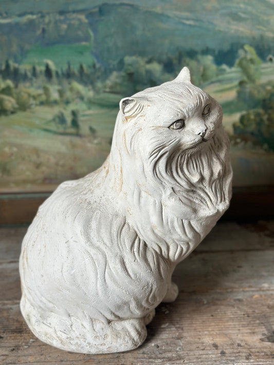 Chat persan