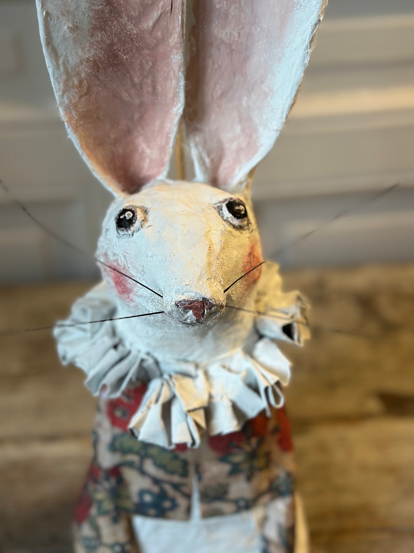 Lapin à collerette