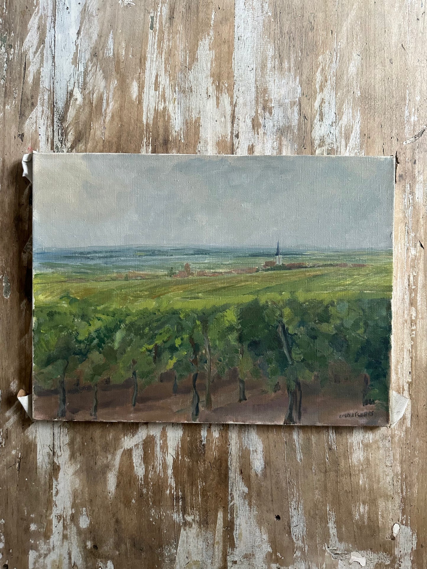 Les vignes