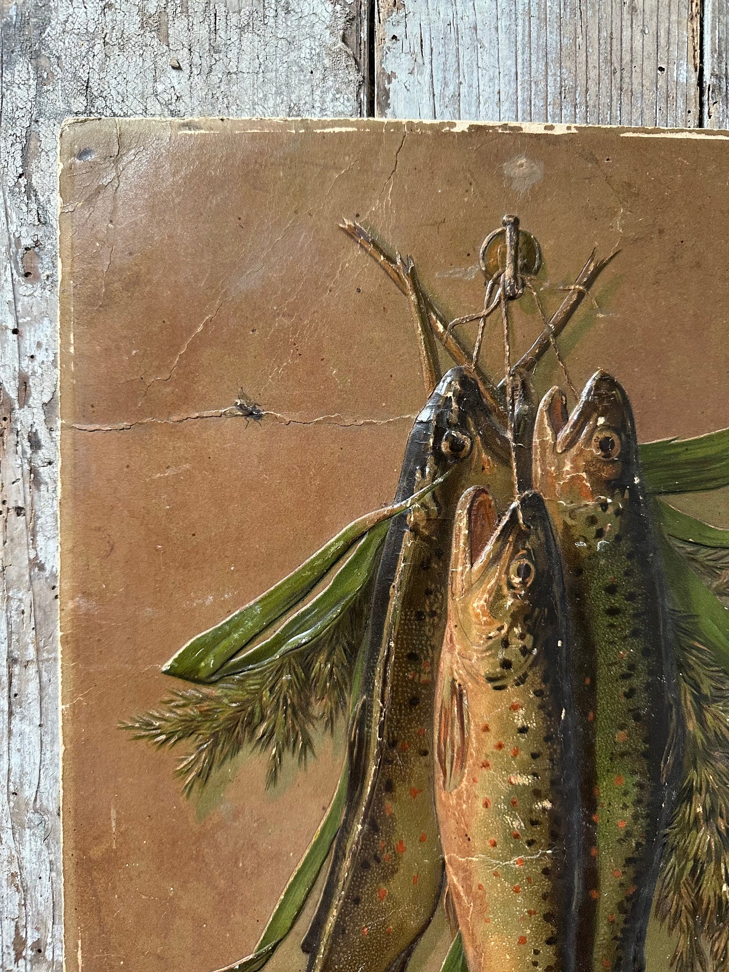 La mouche